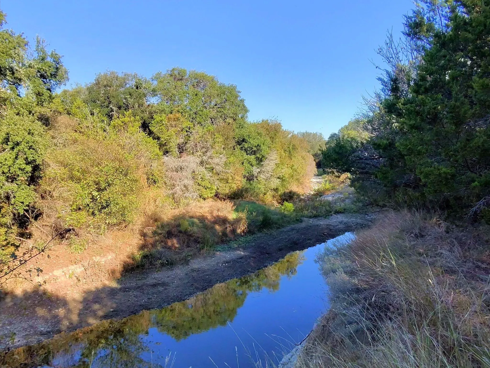 Ranch For Sale in Erath County , TBD 200 ACRES FM-2481 Road 2481, Stephenville, Texas 76401, 0, 0, Garage spaces, 0 Sqft, built in 0, Price $1,999,000, mls#21112940, Real Estate Agent in Stephenville, Homes For Sale in Erath county, Homes For Sale in Stephenville, Realtor in Stephenville Texas, Real Estate Brokerage Independent Realty Texas, Luminita Cordes Realtor