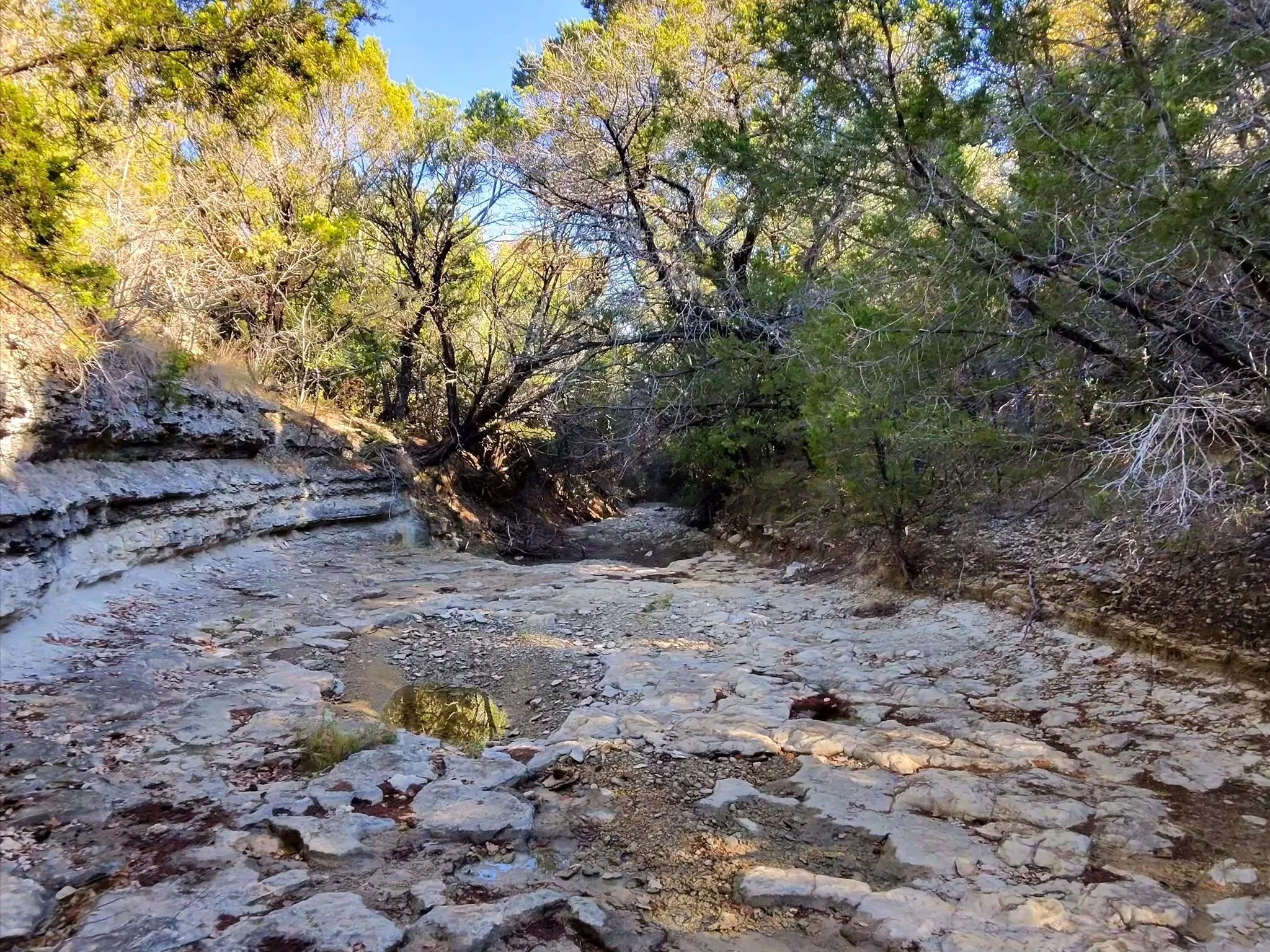 Ranch For Sale in Erath County , TBD 200 ACRES FM-2481 Road 2481, Stephenville, Texas 76401, 0, 0, Garage spaces, 0 Sqft, built in 0, Price $1,999,000, mls#21112940, Real Estate Agent in Stephenville, Homes For Sale in Erath county, Homes For Sale in Stephenville, Realtor in Stephenville Texas, Real Estate Brokerage Independent Realty Texas, Luminita Cordes Realtor