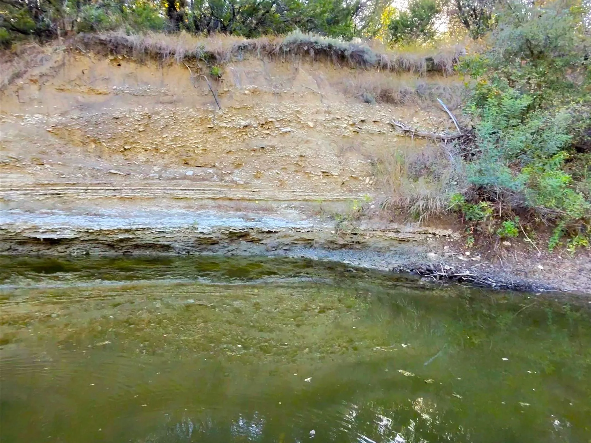 Ranch For Sale in Erath County , TBD 200 ACRES FM-2481 Road 2481, Stephenville, Texas 76401, 0, 0, Garage spaces, 0 Sqft, built in 0, Price $1,999,000, mls#21112940, Real Estate Agent in Stephenville, Homes For Sale in Erath county, Homes For Sale in Stephenville, Realtor in Stephenville Texas, Real Estate Brokerage Independent Realty Texas, Luminita Cordes Realtor