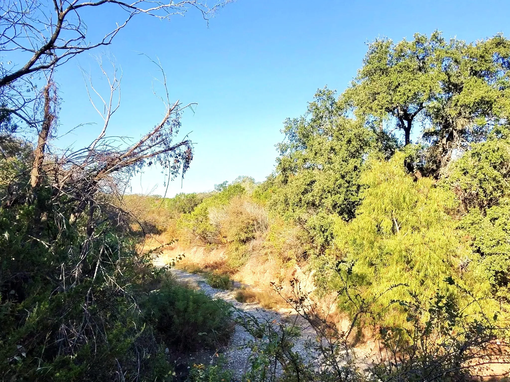 Ranch For Sale in Erath County , TBD 200 ACRES FM-2481 Road 2481, Stephenville, Texas 76401, 0, 0, Garage spaces, 0 Sqft, built in 0, Price $1,999,000, mls#21112940, Real Estate Agent in Stephenville, Homes For Sale in Erath county, Homes For Sale in Stephenville, Realtor in Stephenville Texas, Real Estate Brokerage Independent Realty Texas, Luminita Cordes Realtor