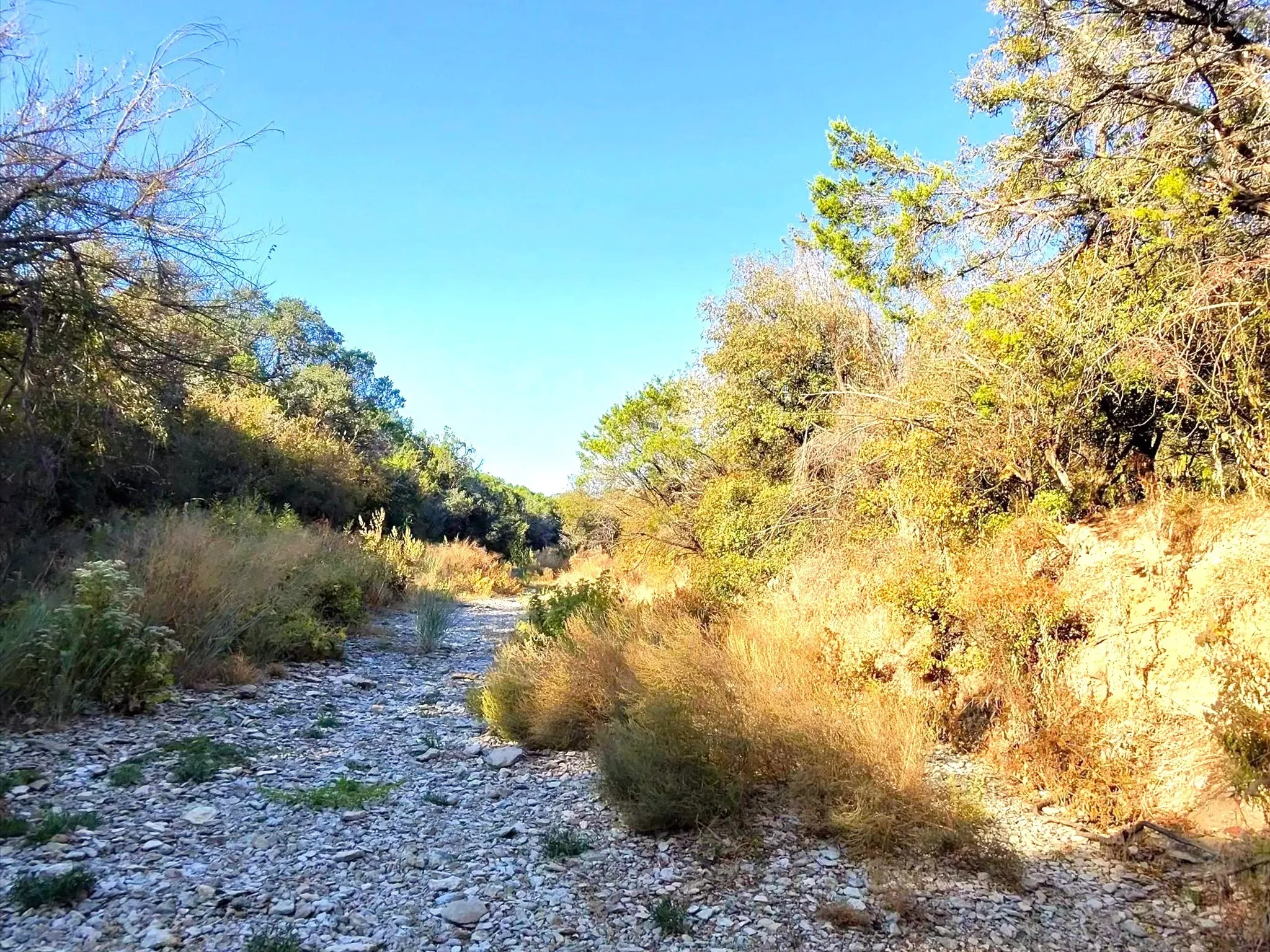 Ranch For Sale in Erath County , TBD 200 ACRES FM-2481 Road 2481, Stephenville, Texas 76401, 0, 0, Garage spaces, 0 Sqft, built in 0, Price $1,999,000, mls#21112940, Real Estate Agent in Stephenville, Homes For Sale in Erath county, Homes For Sale in Stephenville, Realtor in Stephenville Texas, Real Estate Brokerage Independent Realty Texas, Luminita Cordes Realtor