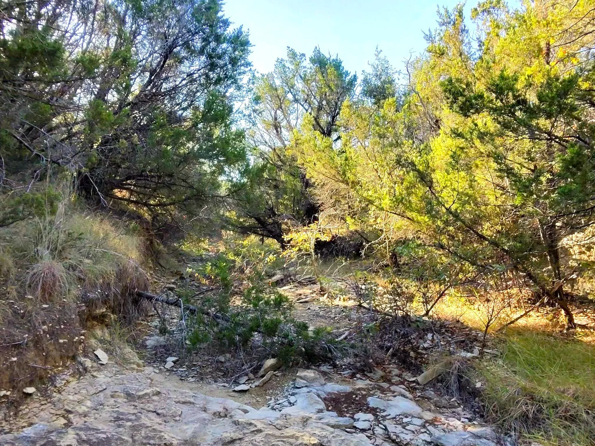 Ranch For Sale in Erath County , TBD 200 ACRES FM-2481 Road 2481, Stephenville, Texas 76401, 0, 0, Garage spaces, 0 Sqft, built in 0, Price $1,999,000, mls#21112940, Real Estate Agent in Stephenville, Homes For Sale in Erath county, Homes For Sale in Stephenville, Realtor in Stephenville Texas, Real Estate Brokerage Independent Realty Texas, Luminita Cordes Realtor