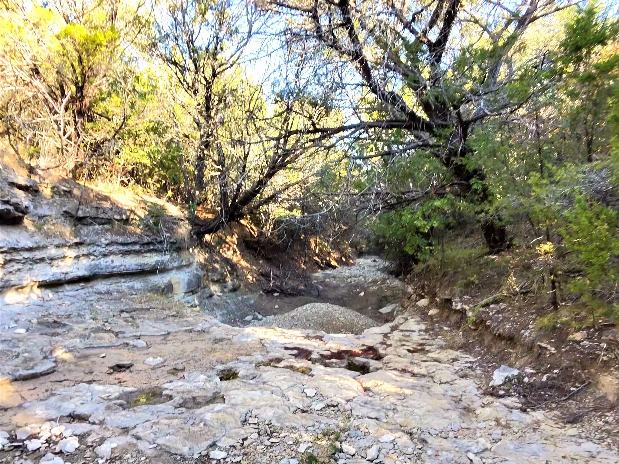 Ranch For Sale in Erath County , TBD 200 ACRES FM-2481 Road 2481, Stephenville, Texas 76401, 0, 0, Garage spaces, 0 Sqft, built in 0, Price $1,999,000, mls#21112940, Real Estate Agent in Stephenville, Homes For Sale in Erath county, Homes For Sale in Stephenville, Realtor in Stephenville Texas, Real Estate Brokerage Independent Realty Texas, Luminita Cordes Realtor