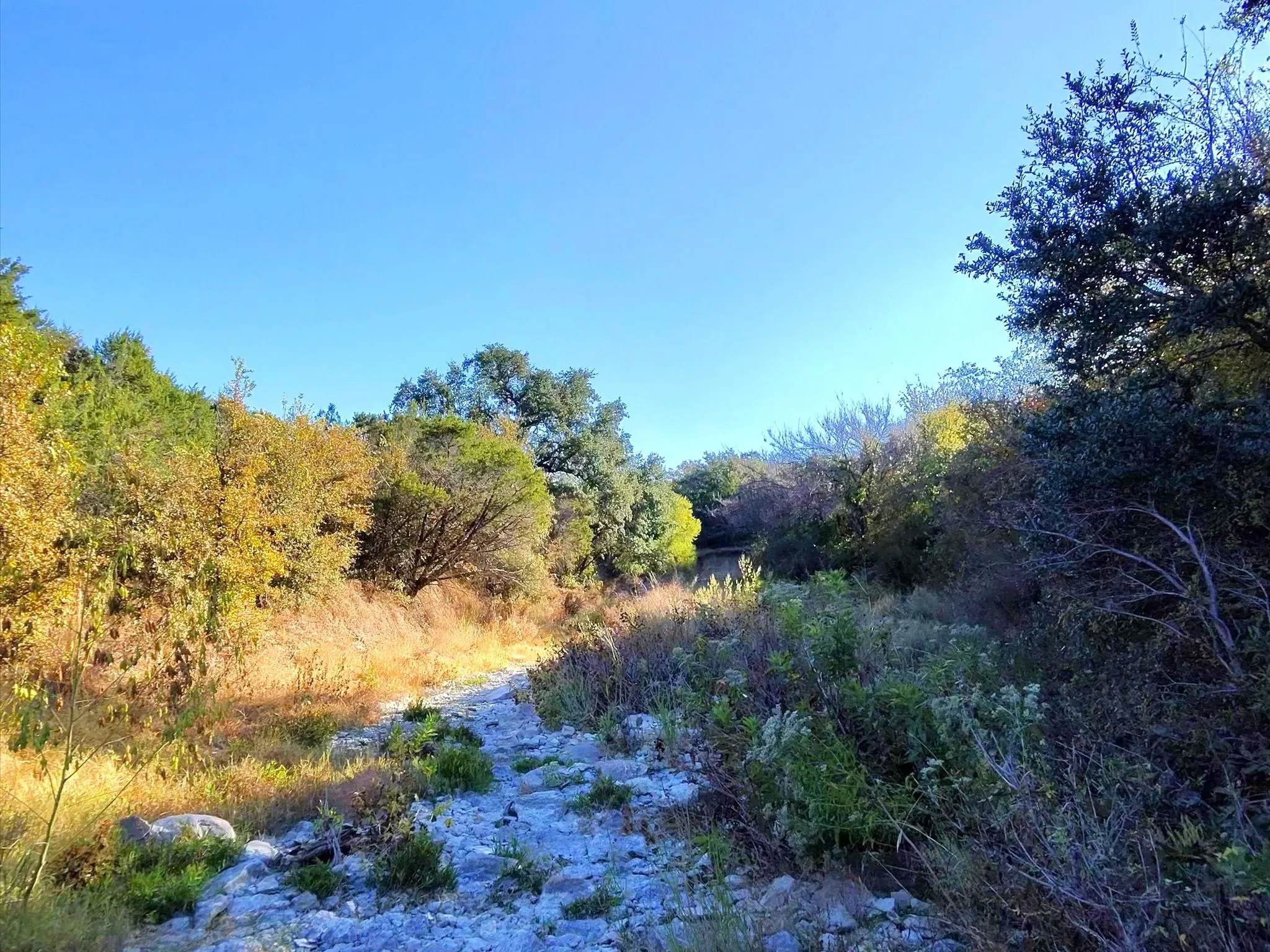 Ranch For Sale in Erath County , TBD 200 ACRES FM-2481 Road 2481, Stephenville, Texas 76401, 0, 0, Garage spaces, 0 Sqft, built in 0, Price $1,999,000, mls#21112940, Real Estate Agent in Stephenville, Homes For Sale in Erath county, Homes For Sale in Stephenville, Realtor in Stephenville Texas, Real Estate Brokerage Independent Realty Texas, Luminita Cordes Realtor