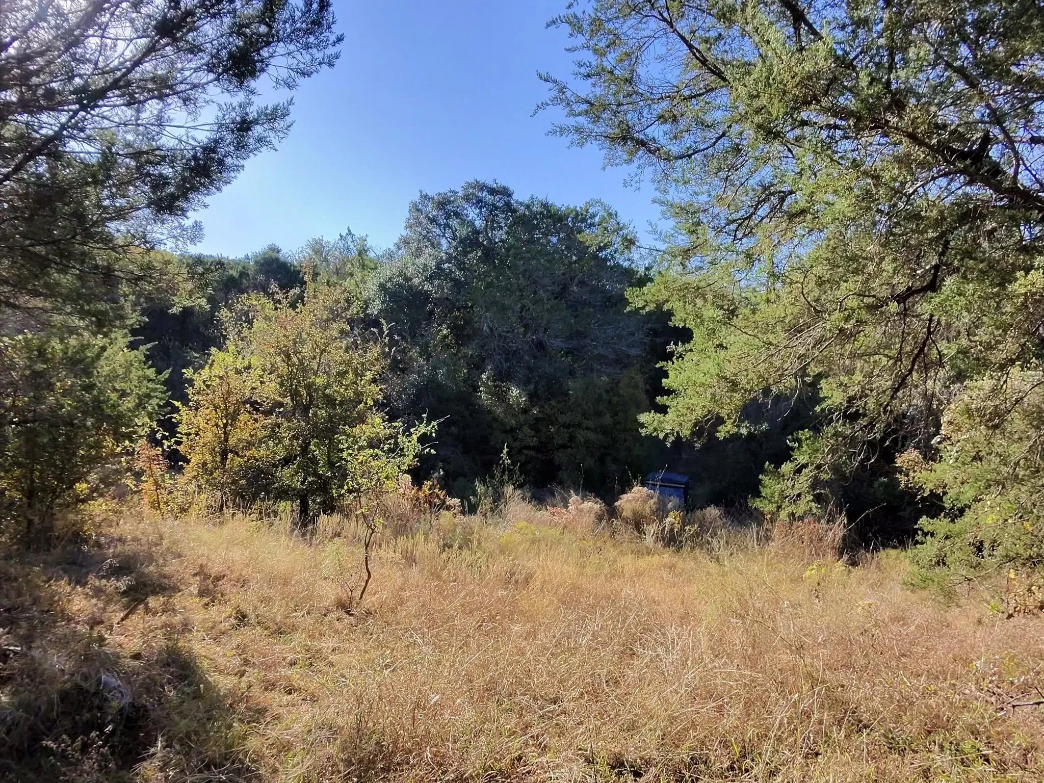 Ranch For Sale in Erath County , TBD 200 ACRES FM-2481 Road 2481, Stephenville, Texas 76401, 0, 0, Garage spaces, 0 Sqft, built in 0, Price $1,999,000, mls#21112940, Real Estate Agent in Stephenville, Homes For Sale in Erath county, Homes For Sale in Stephenville, Realtor in Stephenville Texas, Real Estate Brokerage Independent Realty Texas, Luminita Cordes Realtor