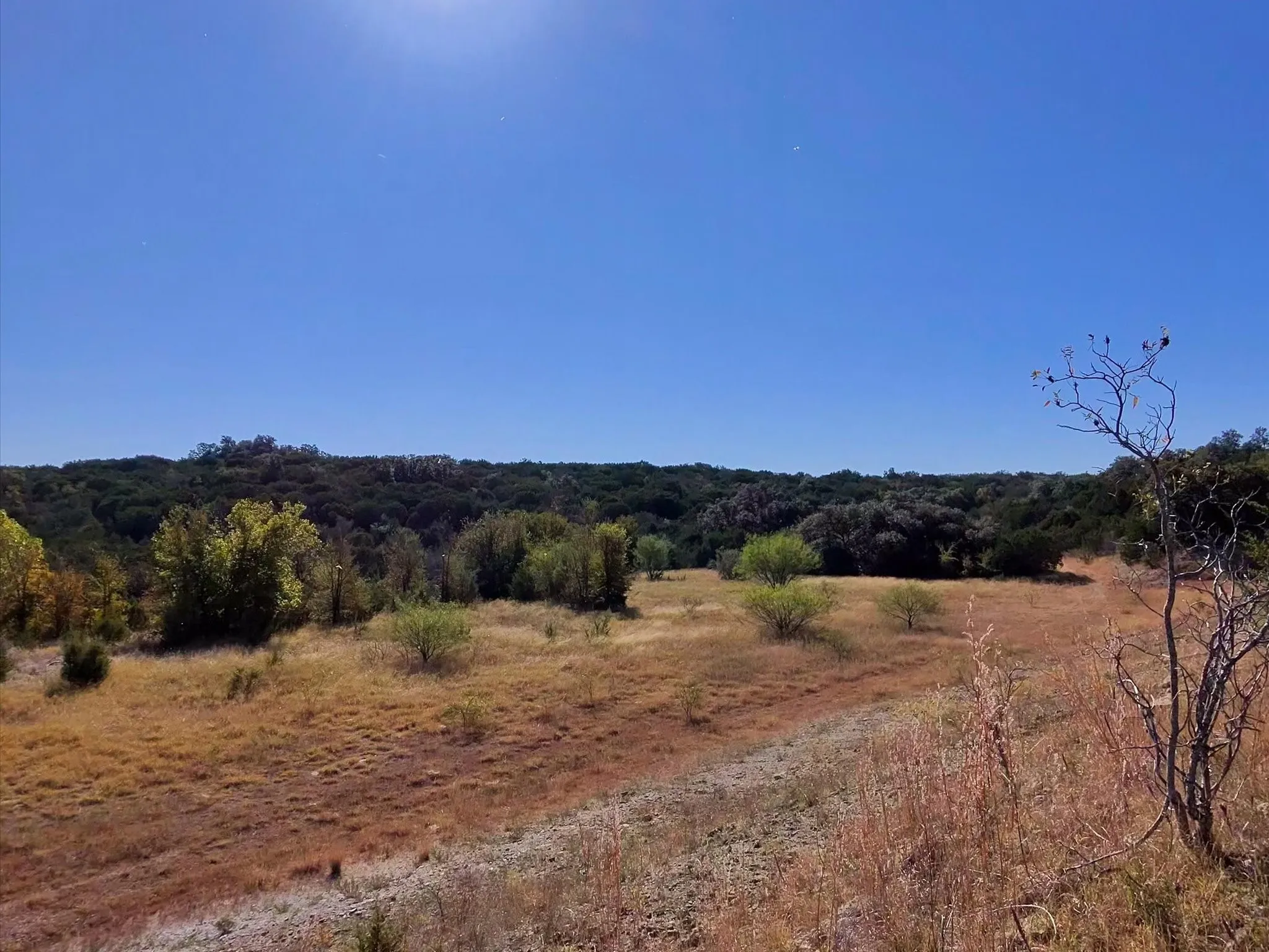 Ranch For Sale in Erath County , TBD 200 ACRES FM-2481 Road 2481, Stephenville, Texas 76401, 0, 0, Garage spaces, 0 Sqft, built in 0, Price $1,999,000, mls#21112940, Real Estate Agent in Stephenville, Homes For Sale in Erath county, Homes For Sale in Stephenville, Realtor in Stephenville Texas, Real Estate Brokerage Independent Realty Texas, Luminita Cordes Realtor