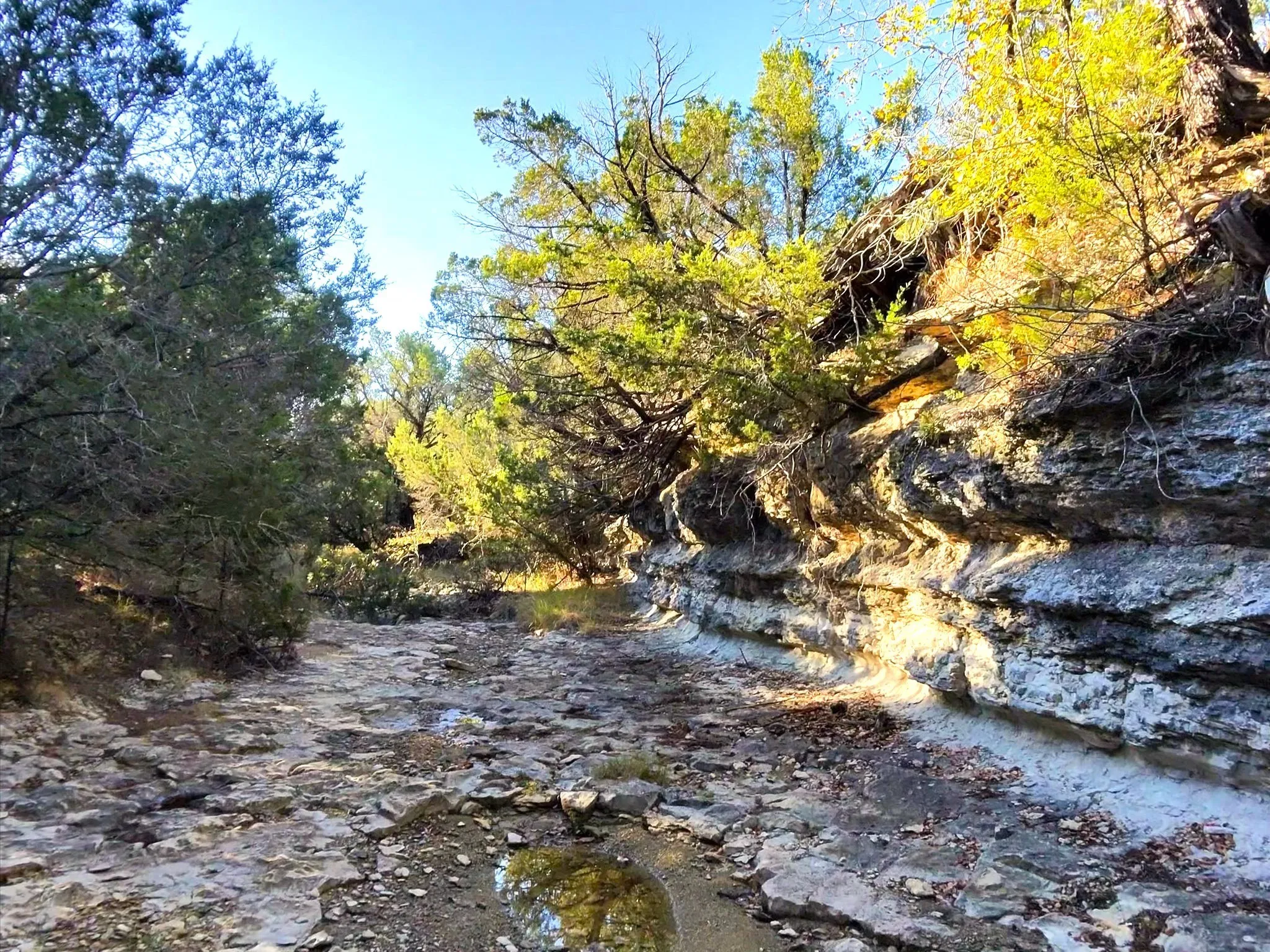 Ranch For Sale in Erath County , TBD 200 ACRES FM-2481 Road 2481, Stephenville, Texas 76401, 0, 0, Garage spaces, 0 Sqft, built in 0, Price $1,999,000, mls#21112940, Real Estate Agent in Stephenville, Homes For Sale in Erath county, Homes For Sale in Stephenville, Realtor in Stephenville Texas, Real Estate Brokerage Independent Realty Texas, Luminita Cordes Realtor