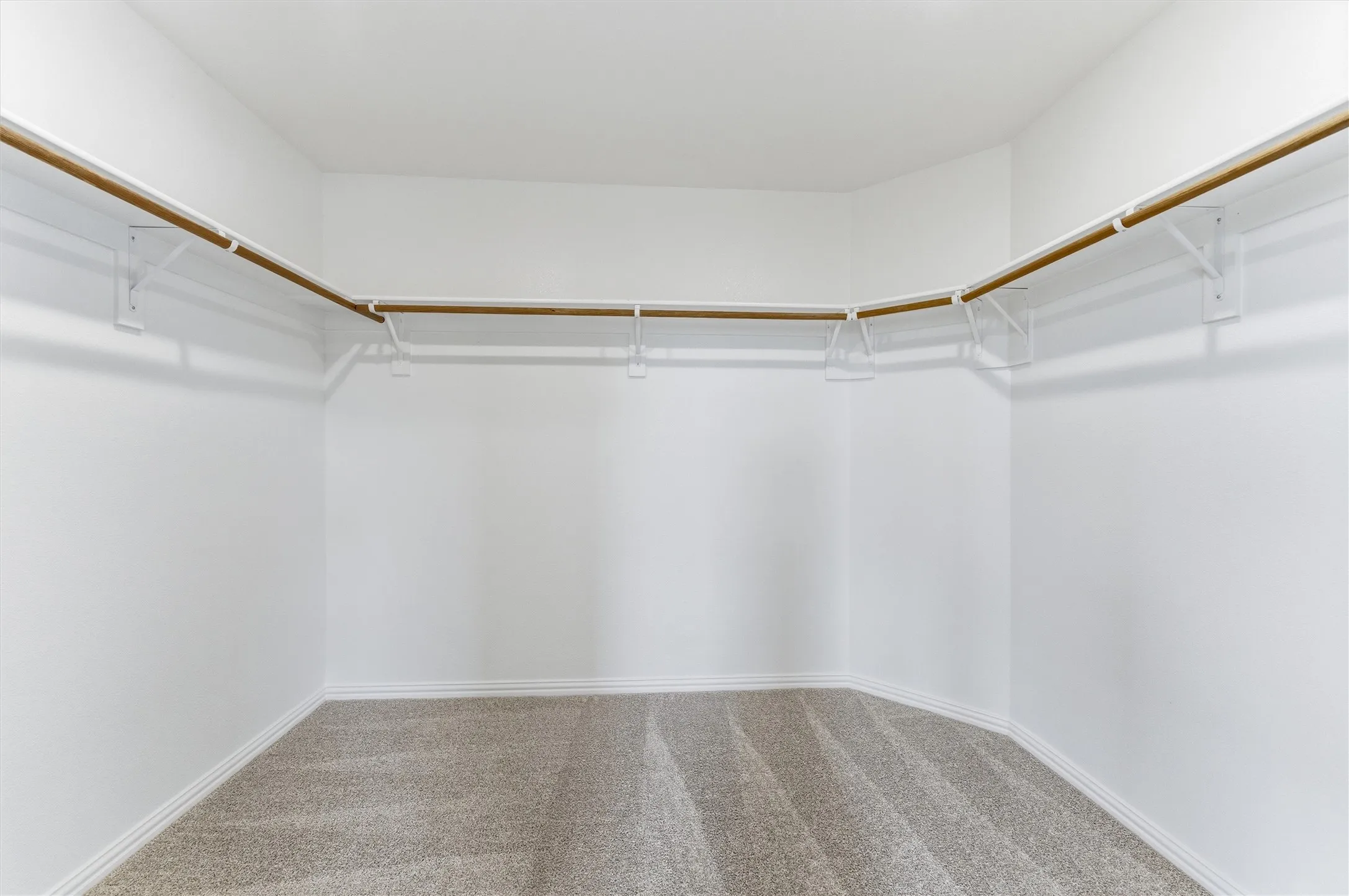 Walk in closet featuring carpet floors
