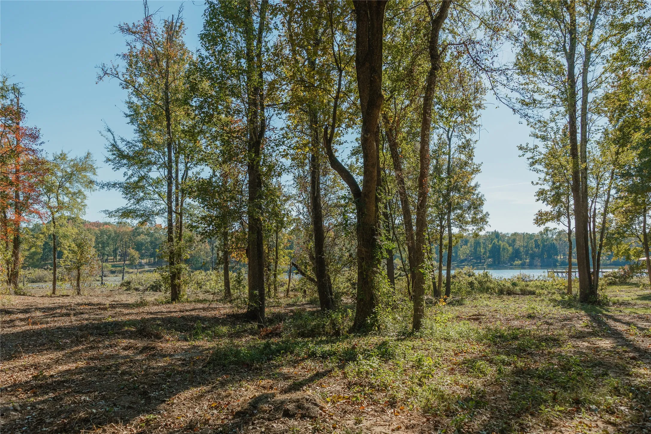 View of local wilderness featuring a nearby body of water