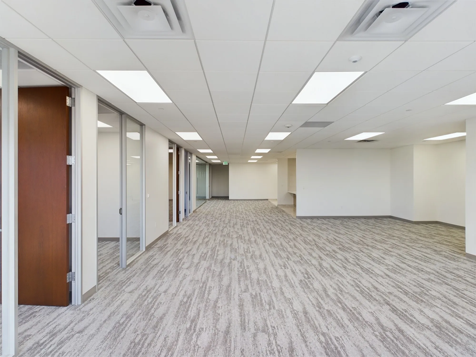 Suite 450 Open Office Area