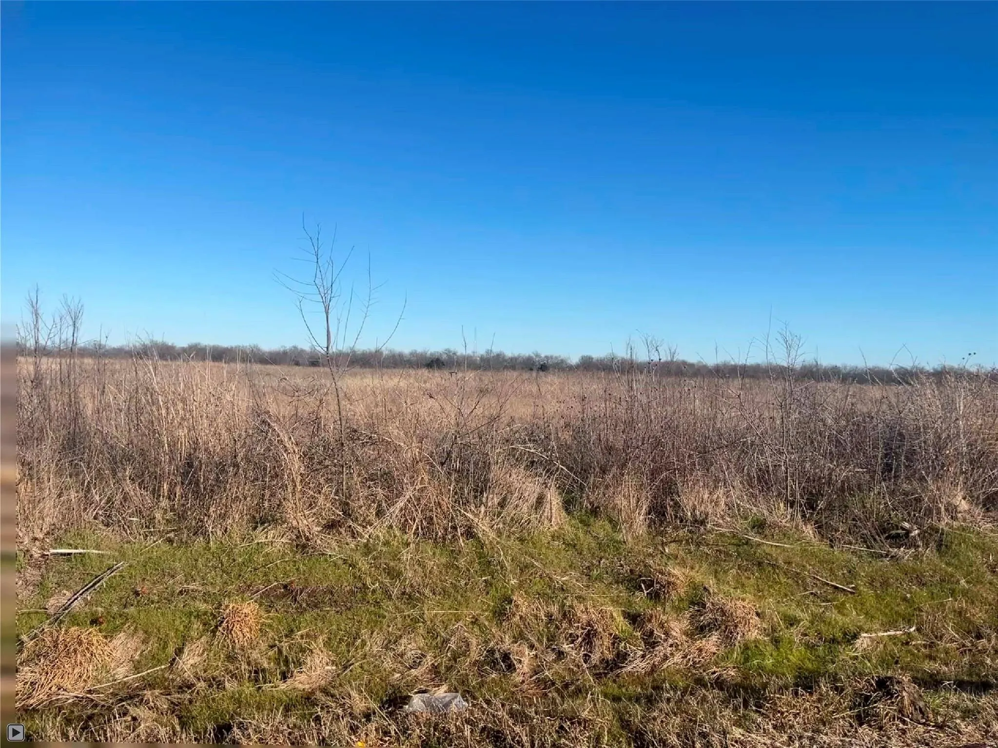 View of local wilderness with rural landscape