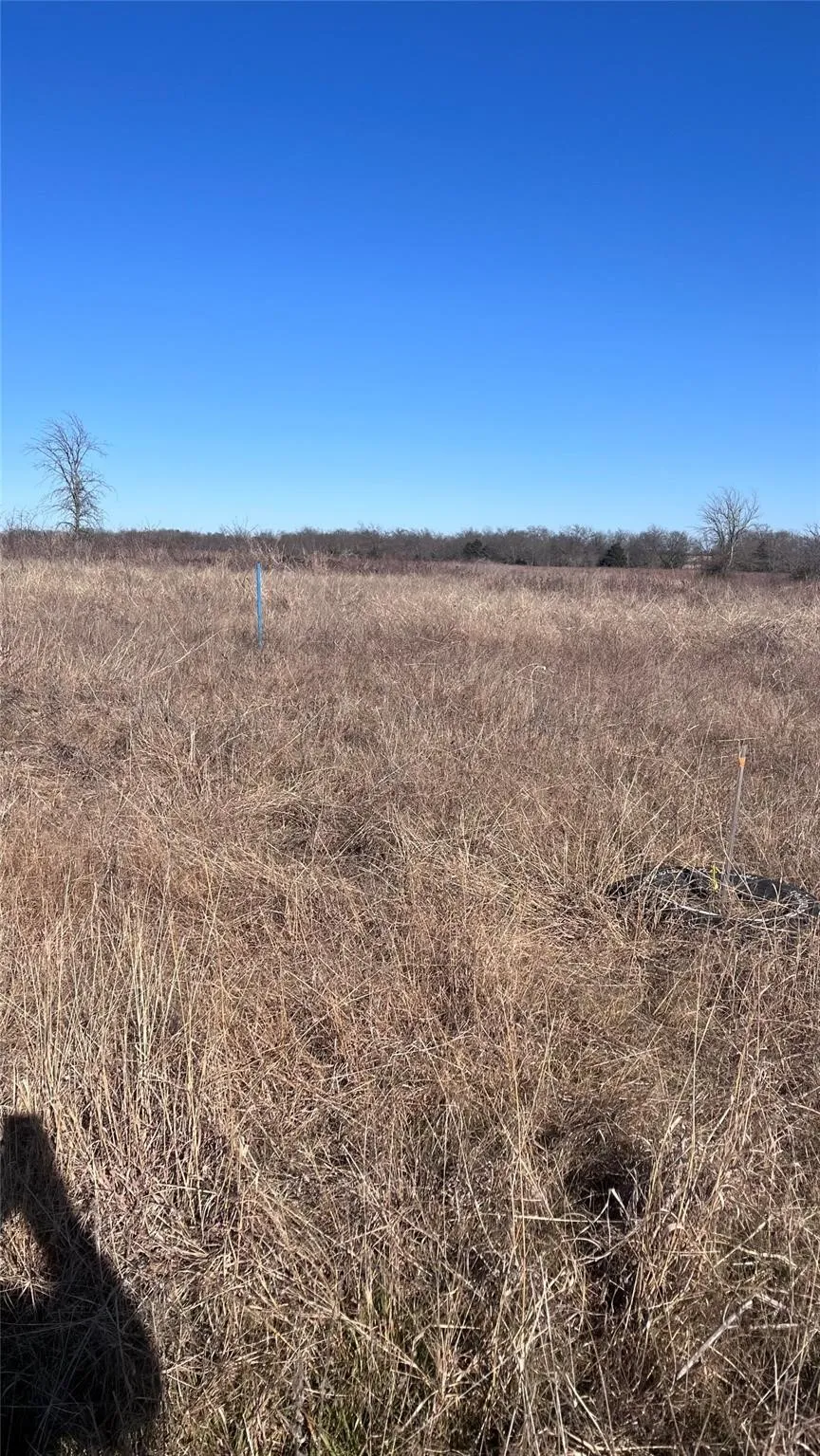 View of local wilderness featuring rural landscape