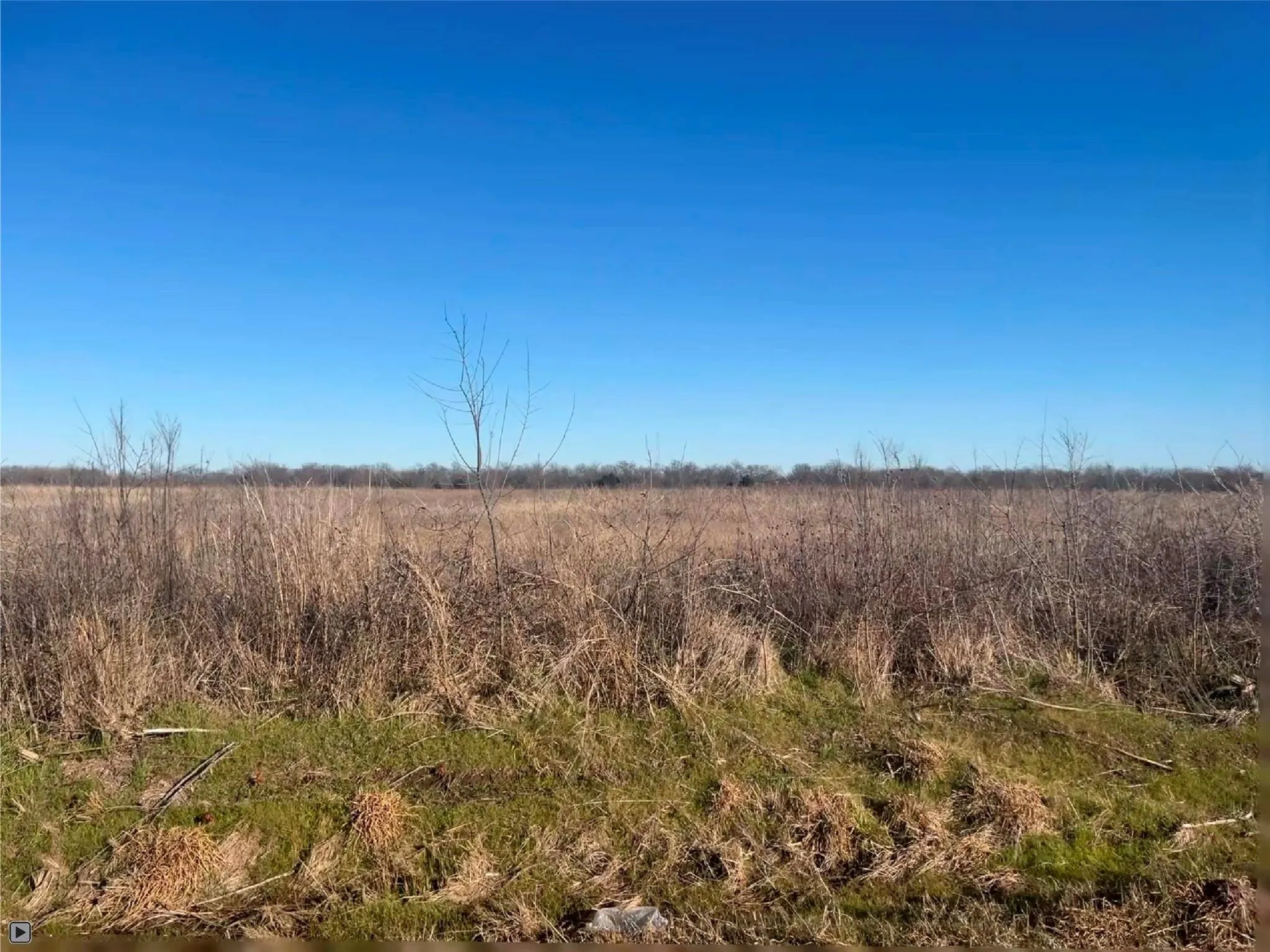 Unimproved Land For Sale in Hunt County , CR 4309 County Road 4309 E, Commerce, Texas 75401, 0, 0, Garage spaces, 0 Sqft, built in 0, mls#21111866, Real Estate Agent in Commerce, Homes For Sale in Hunt county, Homes For Sale in Commerce, Realtor in Commerce Texas, Real Estate Brokerage Independent Realty Texas, Luminita Cordes Realtor