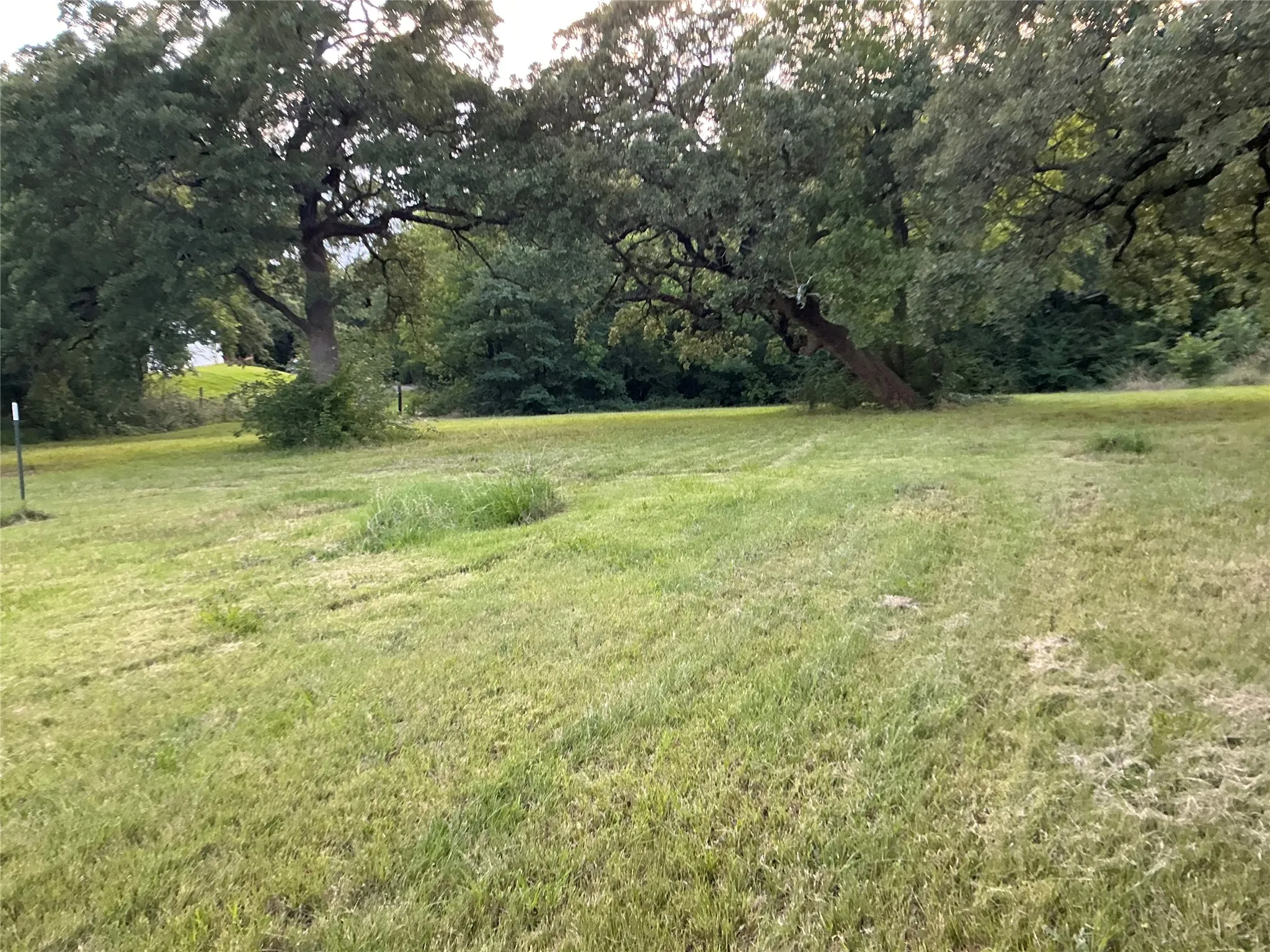 Single Family Residence For Sale in Grayson County , 2330 Knight Road, Denison, Texas 75020, 2 Bedroom, 1 Bathroom, Garage spaces, 1,535 Sqft, built in 1930, mls#21115815, Real Estate Agent in Denison, Homes For Sale in Grayson county, Homes For Sale in Denison, Realtor in Denison Texas, Real Estate Brokerage Independent Realty Texas, Luminita Cordes Realtor