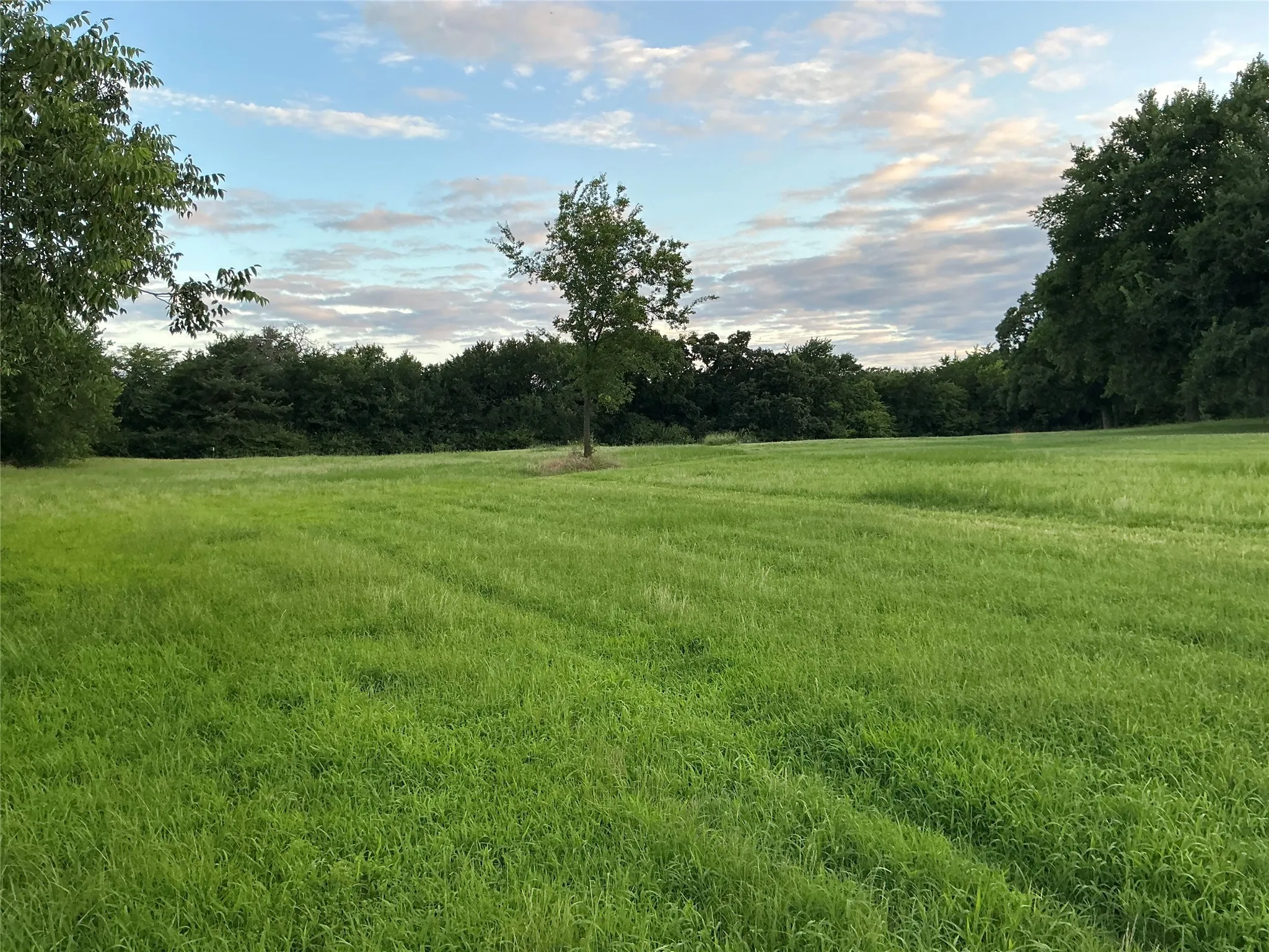 Single Family Residence For Sale in Grayson County , 2330 Knight Road, Denison, Texas 75020, 2 Bedroom, 1 Bathroom, Garage spaces, 1,535 Sqft, built in 1930, mls#21115815, Real Estate Agent in Denison, Homes For Sale in Grayson county, Homes For Sale in Denison, Realtor in Denison Texas, Real Estate Brokerage Independent Realty Texas, Luminita Cordes Realtor