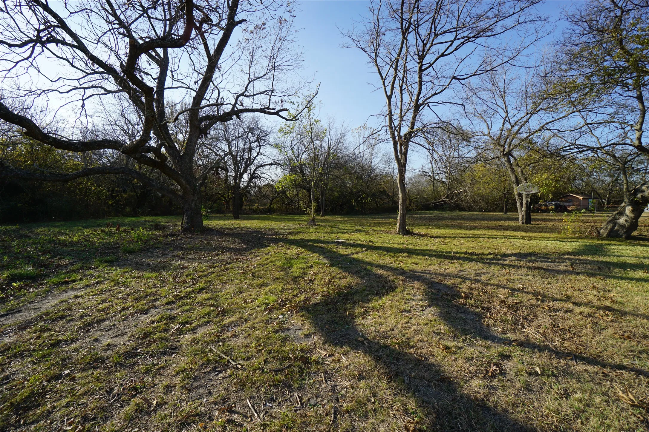 Unimproved Land For Sale in Fannin County , 1227 Maple Street, Bonham, Texas 75418, 0, 0, Garage spaces, 0 Sqft, built in 0, Price $30,000, mls#21115841, Real Estate Agent in Bonham, Homes For Sale in Fannin county, Homes For Sale in Bonham, Realtor in Bonham Texas, Real Estate Brokerage Independent Realty Texas, Luminita Cordes Realtor