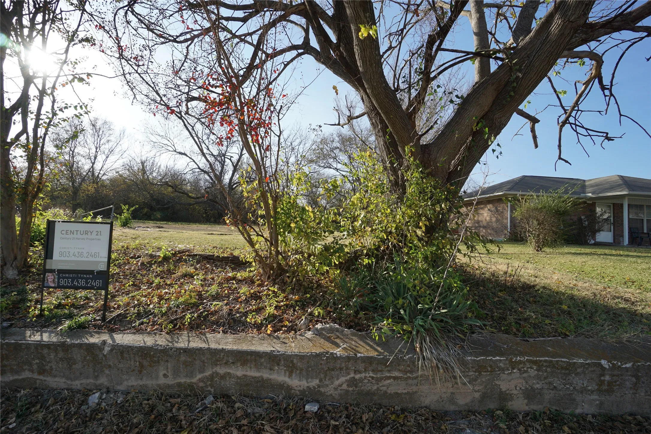 Unimproved Land For Sale in Fannin County , 1227 Maple Street, Bonham, Texas 75418, 0, 0, Garage spaces, 0 Sqft, built in 0, Price $30,000, mls#21115841, Real Estate Agent in Bonham, Homes For Sale in Fannin county, Homes For Sale in Bonham, Realtor in Bonham Texas, Real Estate Brokerage Independent Realty Texas, Luminita Cordes Realtor