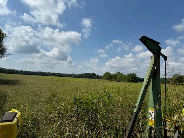 View of nature with rural landscape