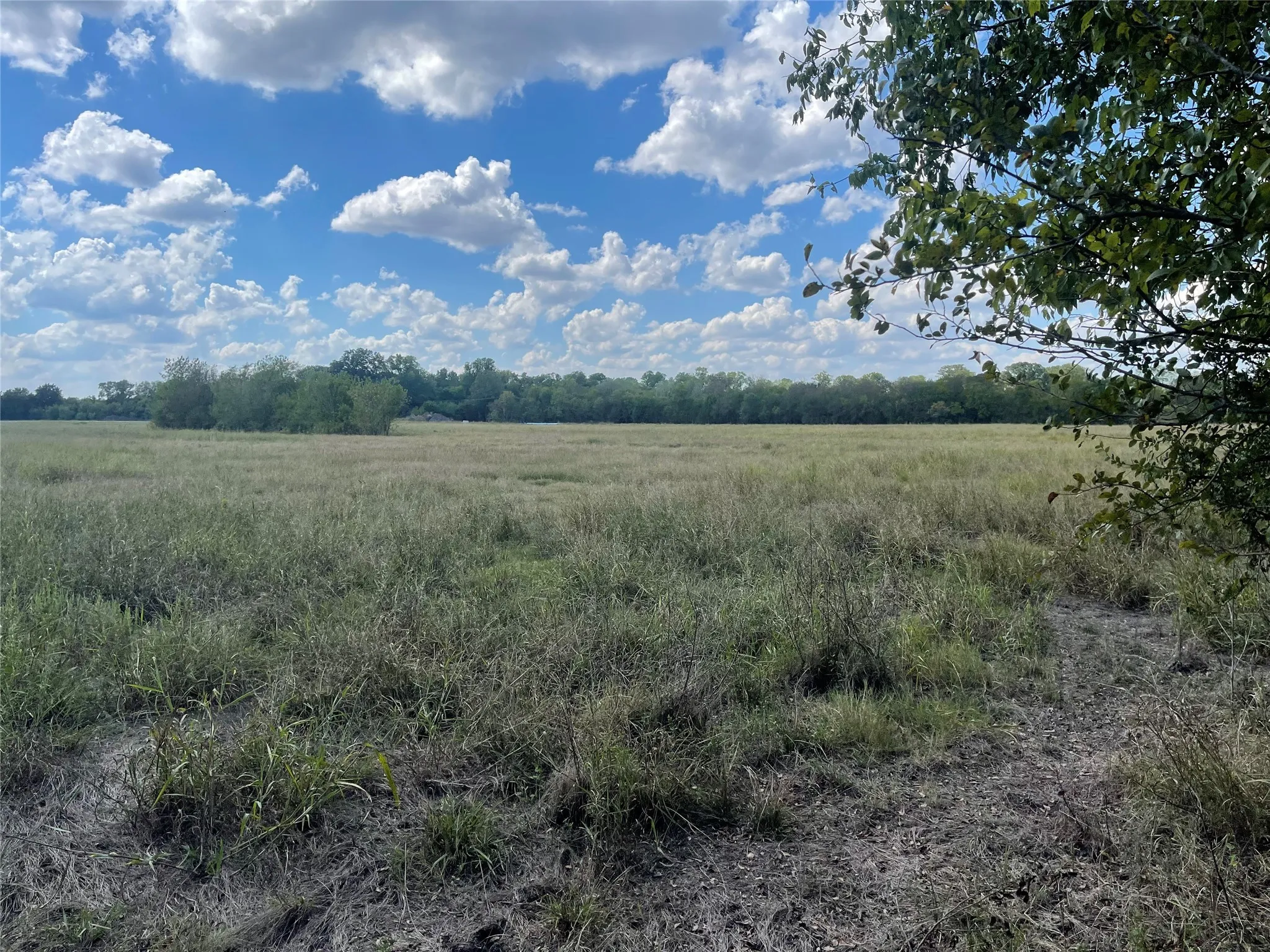 Unimproved Land For Sale in Hunt County , 4103 Cr-4103, Greenville, Texas 75401, 0, 0, Garage spaces, 0 Sqft, built in 0, Price $595,000, mls#21115844, Real Estate Agent in Greenville, Homes For Sale in Hunt county, Homes For Sale in Greenville, Realtor in Greenville Texas, Real Estate Brokerage Independent Realty Texas, Luminita Cordes Realtor