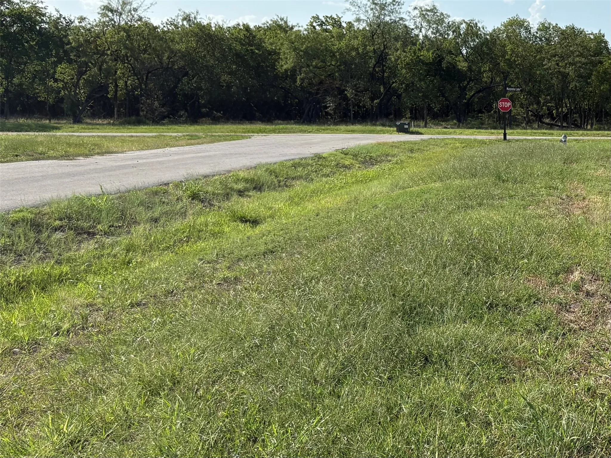 Improved Land For Sale in Navarro County , 3601 US287, Corsicana, Texas 75109, 0, 0, Garage spaces, 0 Sqft, built in 0, mls#21114881, Real Estate Agent in Corsicana, Homes For Sale in Navarro county, Homes For Sale in Corsicana, Realtor in Corsicana Texas, Real Estate Brokerage Independent Realty Texas, Luminita Cordes Realtor