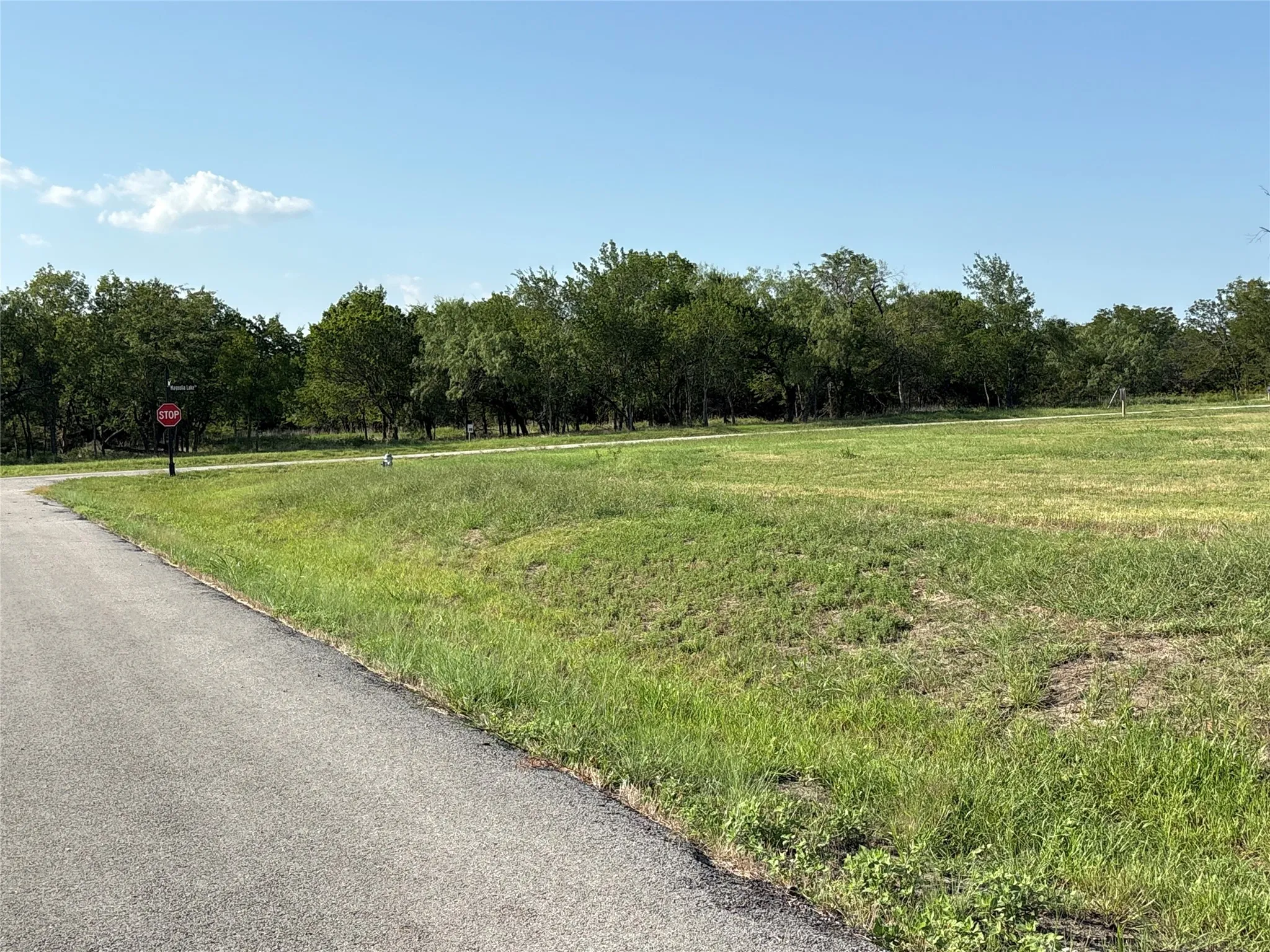 Improved Land For Sale in Navarro County , 3601 US287, Corsicana, Texas 75109, 0, 0, Garage spaces, 0 Sqft, built in 0, mls#21114881, Real Estate Agent in Corsicana, Homes For Sale in Navarro county, Homes For Sale in Corsicana, Realtor in Corsicana Texas, Real Estate Brokerage Independent Realty Texas, Luminita Cordes Realtor