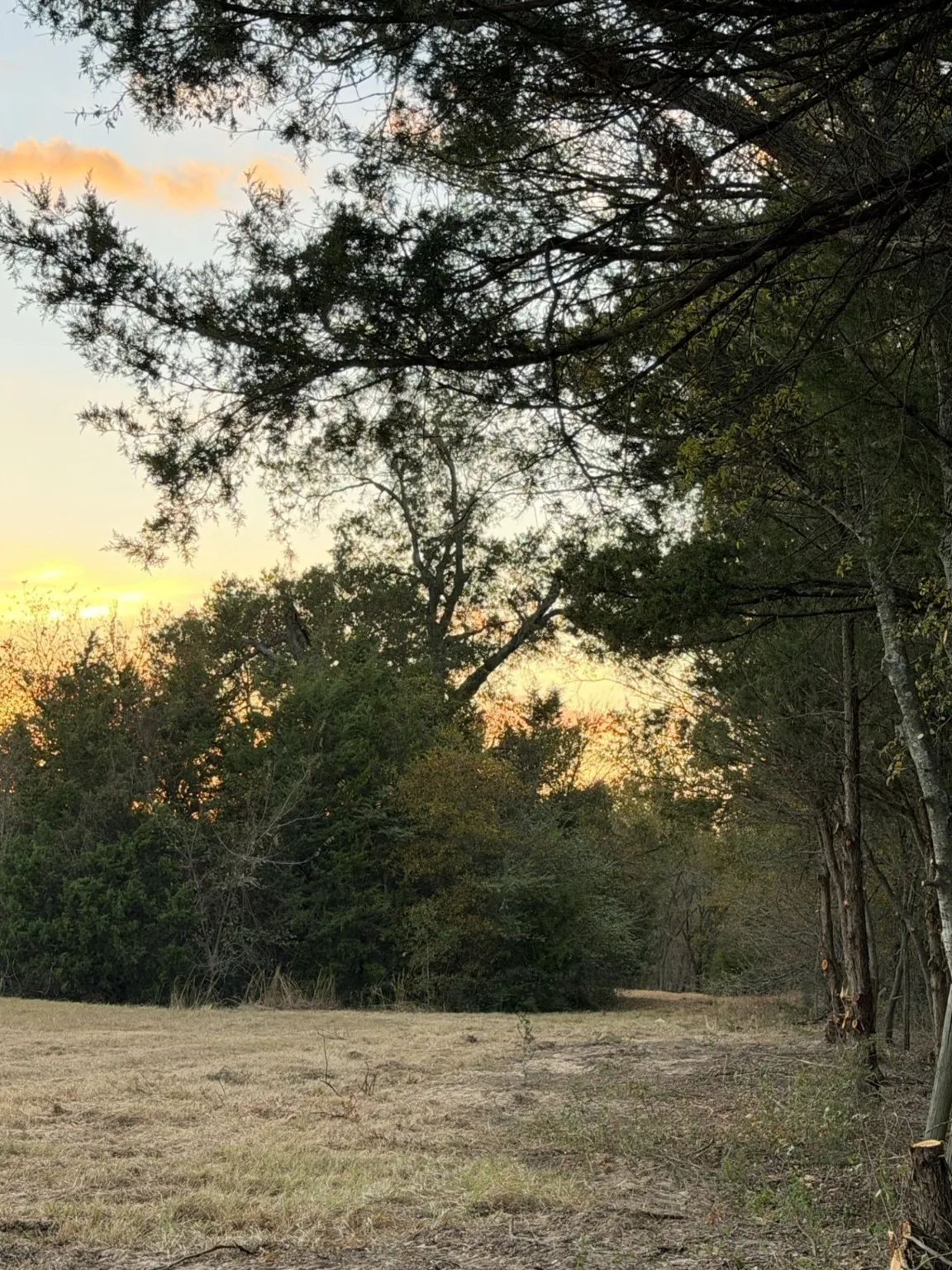 Unimproved Land For Sale in Rains County , TBD RS County Road 1150 Lot 6, Emory, Texas 75440, 0, 0, Garage spaces, 0 Sqft, built in 0, Price $185,250, mls#21115995, Real Estate Agent in Emory, Homes For Sale in Rains county, Homes For Sale in Emory, Realtor in Emory Texas, Real Estate Brokerage Independent Realty Texas, Luminita Cordes Realtor