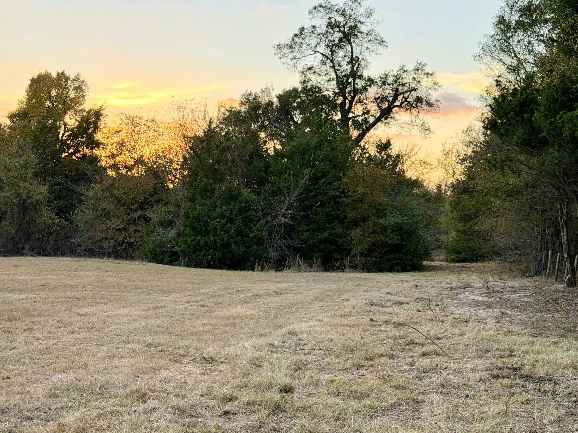 Unimproved Land For Sale in Rains County , TBD RS County Road 1150 Lot 6, Emory, Texas 75440, 0, 0, Garage spaces, 0 Sqft, built in 0, Price $185,250, mls#21115995, Real Estate Agent in Emory, Homes For Sale in Rains county, Homes For Sale in Emory, Realtor in Emory Texas, Real Estate Brokerage Independent Realty Texas, Luminita Cordes Realtor