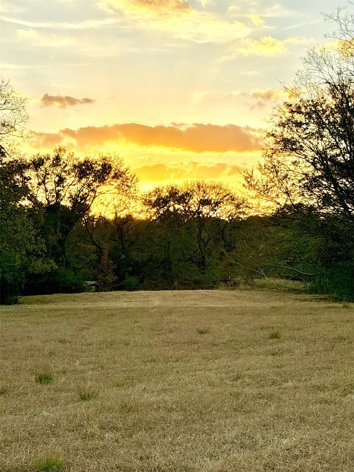 Unimproved Land For Sale in Rains County , TBD RS County Road 1150 Lot 6, Emory, Texas 75440, 0, 0, Garage spaces, 0 Sqft, built in 0, Price $185,250, mls#21115995, Real Estate Agent in Emory, Homes For Sale in Rains county, Homes For Sale in Emory, Realtor in Emory Texas, Real Estate Brokerage Independent Realty Texas, Luminita Cordes Realtor