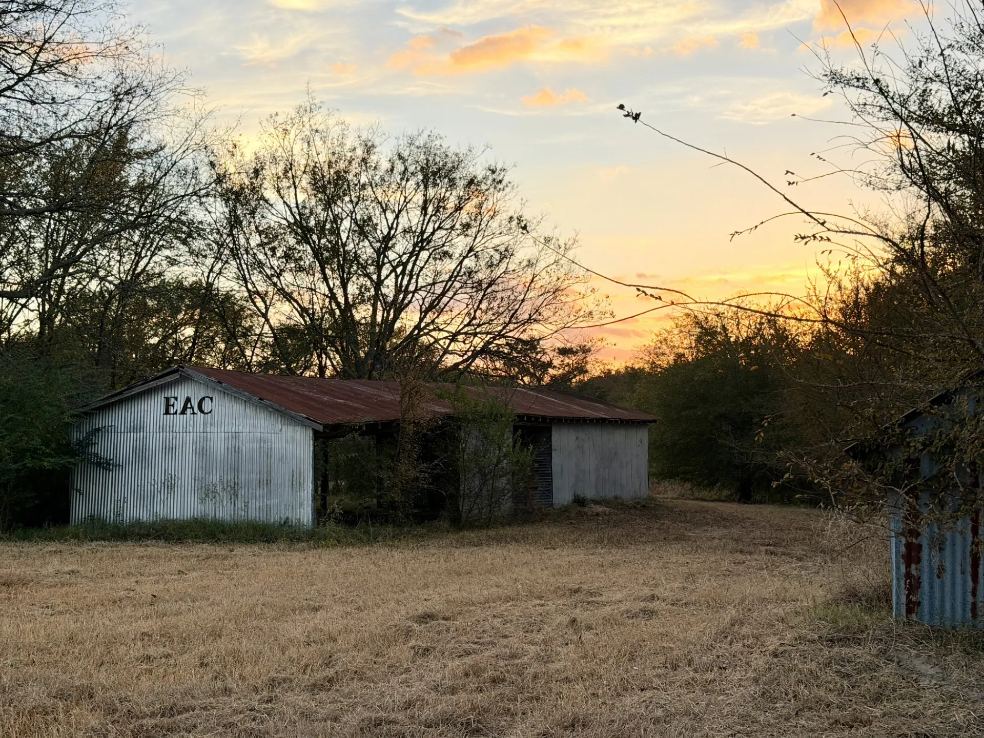 Unimproved Land For Sale in Rains County , TBD RS County Road 1150 Lot 6, Emory, Texas 75440, 0, 0, Garage spaces, 0 Sqft, built in 0, Price $185,250, mls#21115995, Real Estate Agent in Emory, Homes For Sale in Rains county, Homes For Sale in Emory, Realtor in Emory Texas, Real Estate Brokerage Independent Realty Texas, Luminita Cordes Realtor