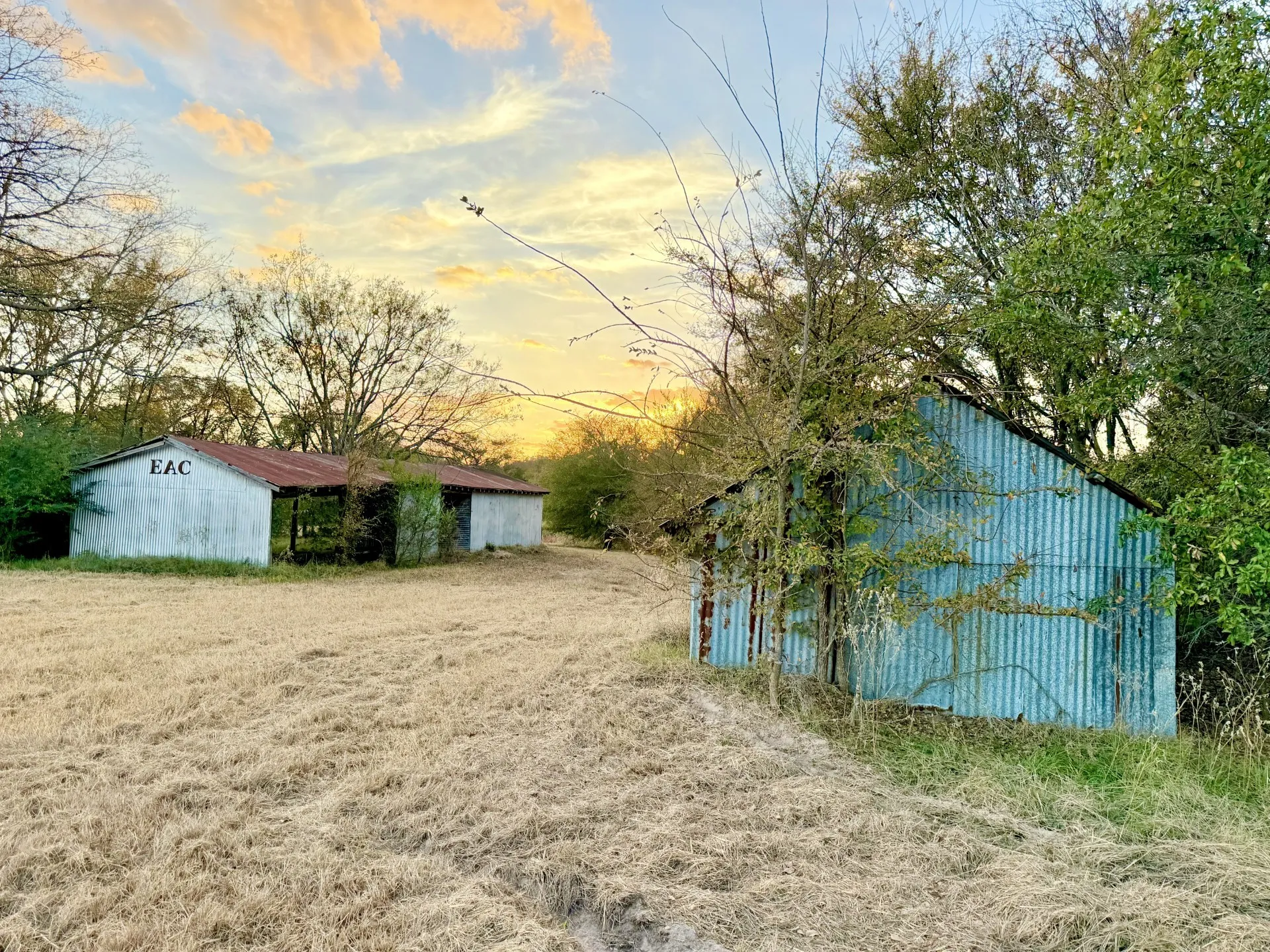 Unimproved Land For Sale in Rains County , TBD RS County Road 1150 Lot 6, Emory, Texas 75440, 0, 0, Garage spaces, 0 Sqft, built in 0, Price $185,250, mls#21115995, Real Estate Agent in Emory, Homes For Sale in Rains county, Homes For Sale in Emory, Realtor in Emory Texas, Real Estate Brokerage Independent Realty Texas, Luminita Cordes Realtor