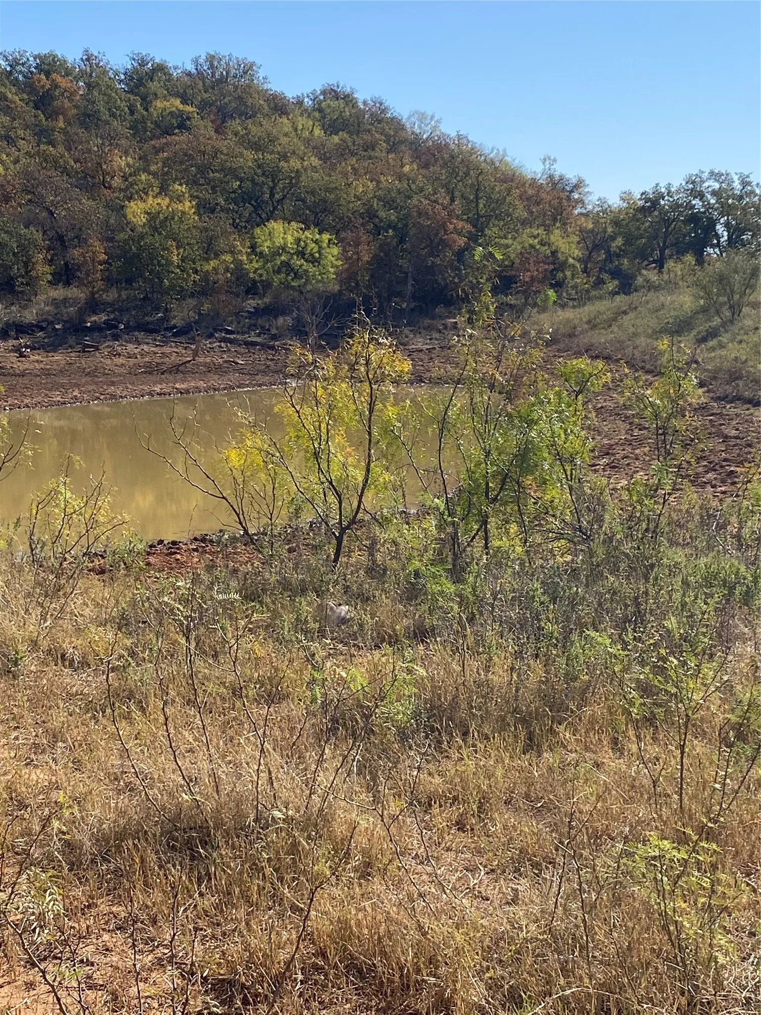 Ranch For Sale in Brown County , 15100 County Road 129, Brownwood, Texas 76801, 0, 0, Garage spaces, 0 Sqft, built in 0, Price $1,260,000, mls#21114367, Real Estate Agent in Brownwood, Homes For Sale in Brown county, Homes For Sale in Brownwood, Realtor in Brownwood Texas, Real Estate Brokerage Independent Realty Texas, Luminita Cordes Realtor