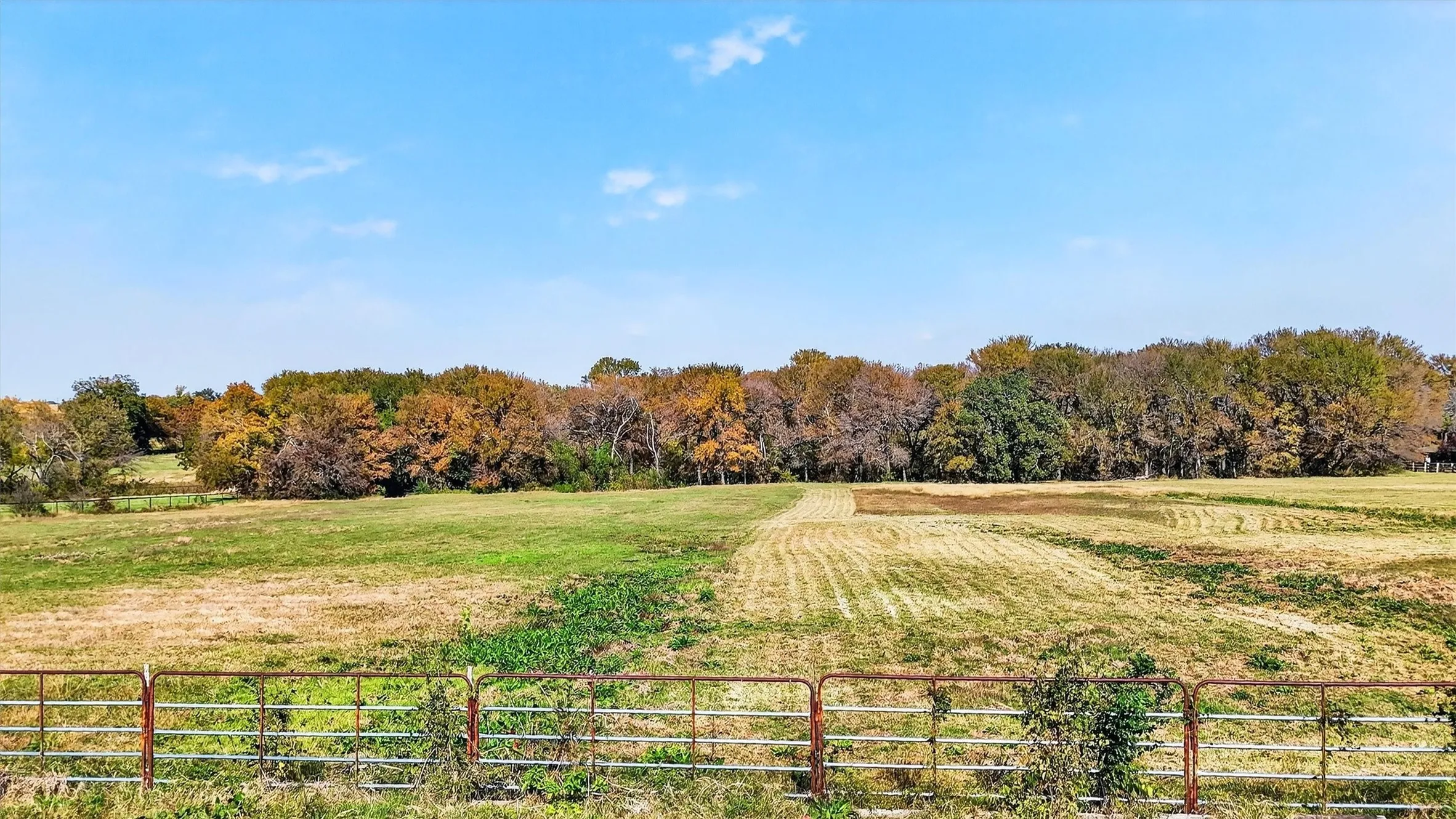 View of yard featuring a view of rural / pastoral area