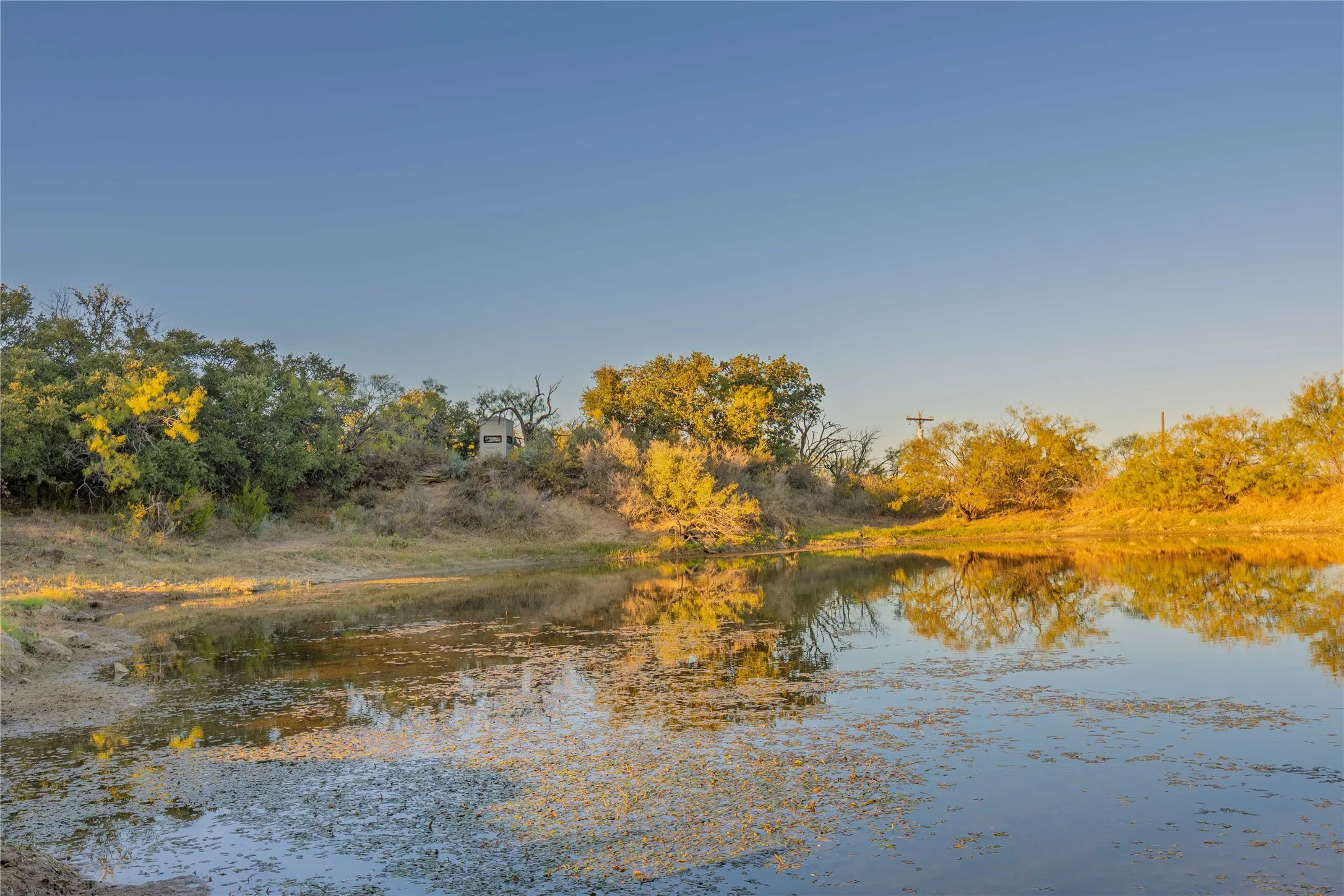 Ranch For Sale in Brown County , 8400 County Road 201, Brownwood, Texas 76801, 0, 0, Garage spaces, 0 Sqft, built in 0, Price $996,525, mls#21116338, Real Estate Agent in Brownwood, Homes For Sale in Brown county, Homes For Sale in Brownwood, Realtor in Brownwood Texas, Real Estate Brokerage Independent Realty Texas, Luminita Cordes Realtor