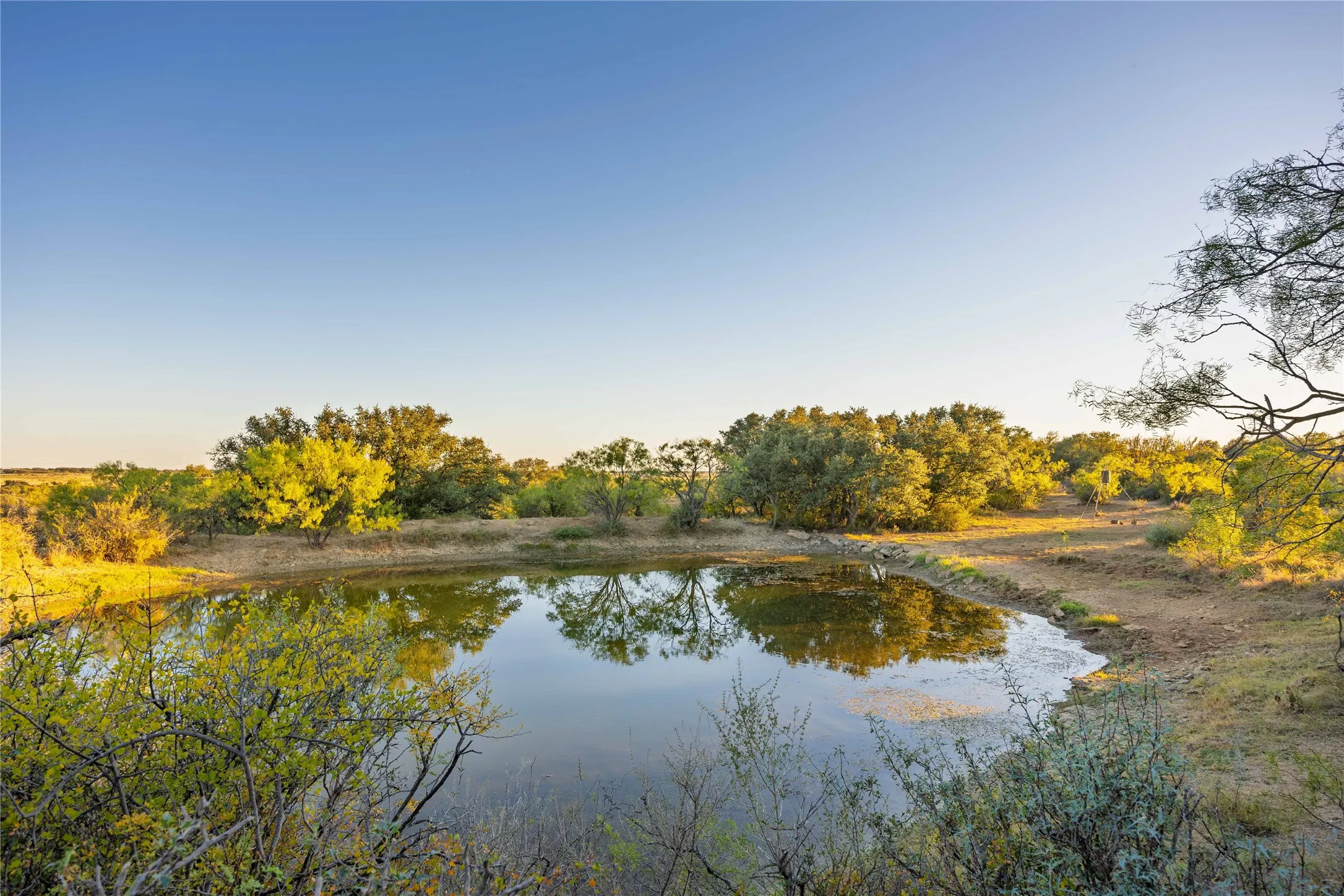 Ranch For Sale in Brown County , 8400 County Road 201, Brownwood, Texas 76801, 0, 0, Garage spaces, 0 Sqft, built in 0, Price $996,525, mls#21116338, Real Estate Agent in Brownwood, Homes For Sale in Brown county, Homes For Sale in Brownwood, Realtor in Brownwood Texas, Real Estate Brokerage Independent Realty Texas, Luminita Cordes Realtor