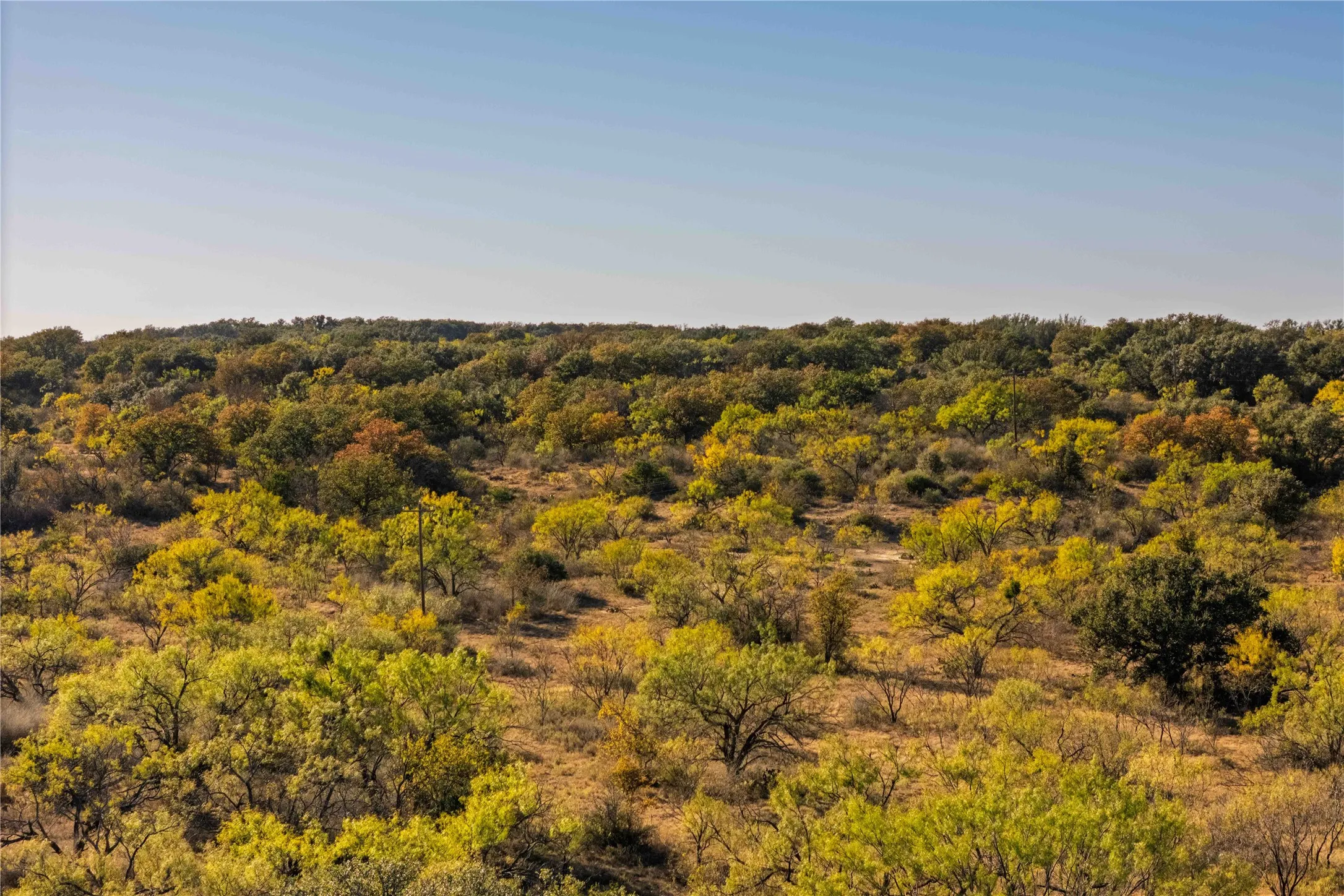 Ranch For Sale in Brown County , 8400 County Road 201, Brownwood, Texas 76801, 0, 0, Garage spaces, 0 Sqft, built in 0, Price $996,525, mls#21116338, Real Estate Agent in Brownwood, Homes For Sale in Brown county, Homes For Sale in Brownwood, Realtor in Brownwood Texas, Real Estate Brokerage Independent Realty Texas, Luminita Cordes Realtor