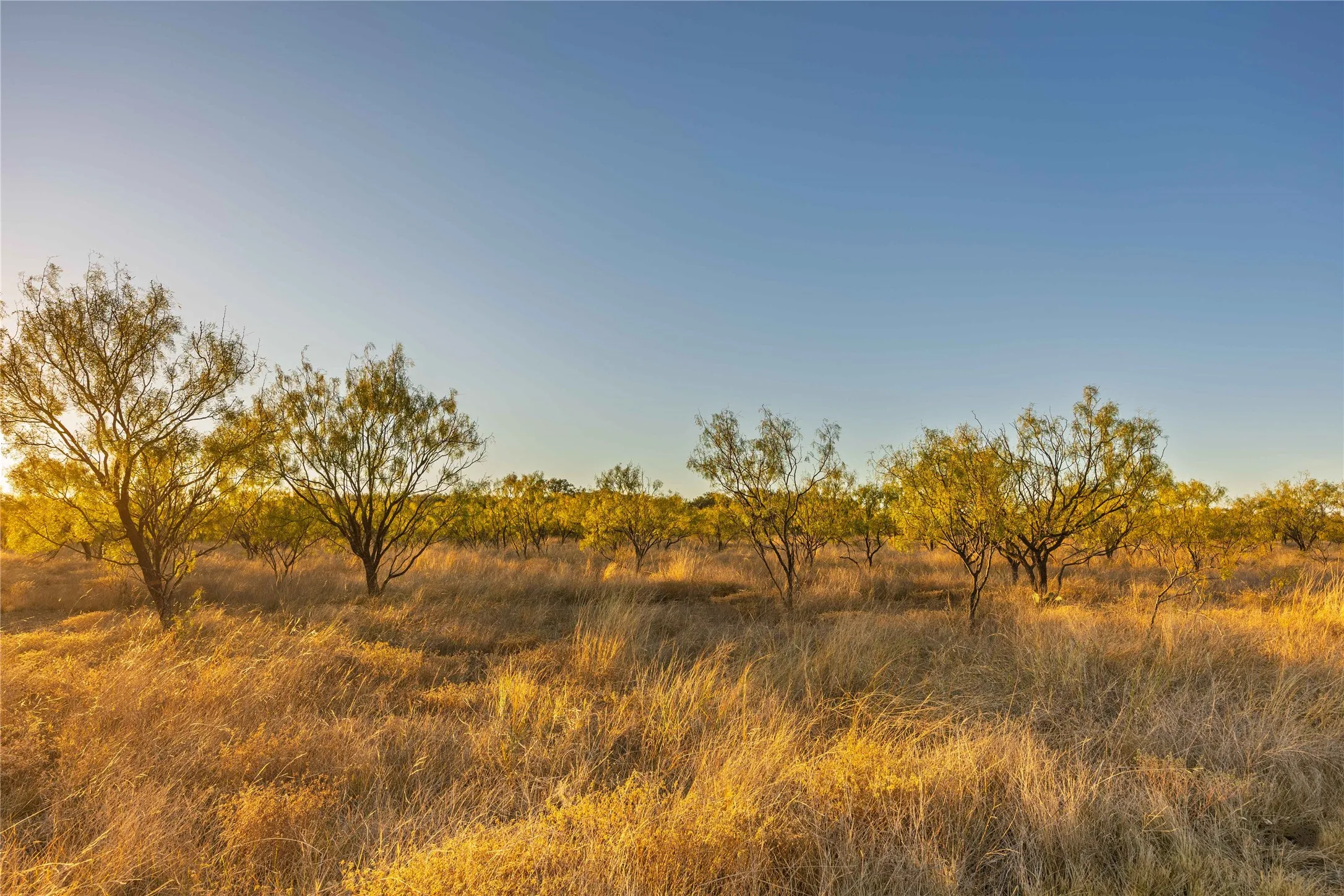 Ranch For Sale in Brown County , 8400 County Road 201, Brownwood, Texas 76801, 0, 0, Garage spaces, 0 Sqft, built in 0, Price $996,525, mls#21116338, Real Estate Agent in Brownwood, Homes For Sale in Brown county, Homes For Sale in Brownwood, Realtor in Brownwood Texas, Real Estate Brokerage Independent Realty Texas, Luminita Cordes Realtor