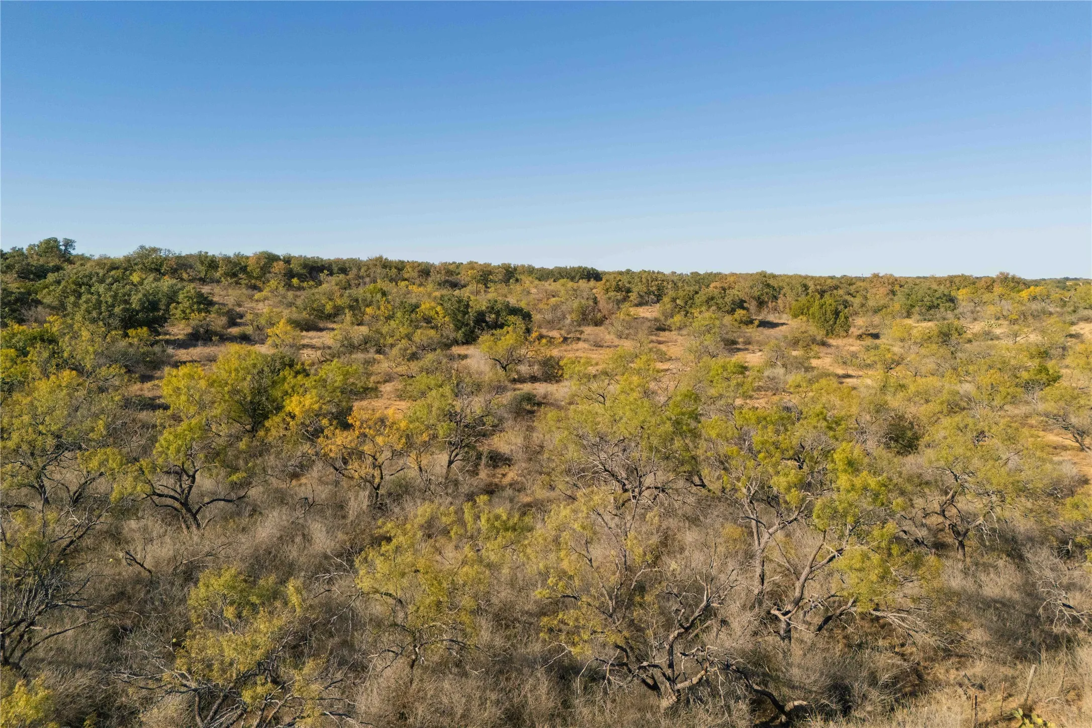 Ranch For Sale in Brown County , 8400 County Road 201, Brownwood, Texas 76801, 0, 0, Garage spaces, 0 Sqft, built in 0, Price $996,525, mls#21116338, Real Estate Agent in Brownwood, Homes For Sale in Brown county, Homes For Sale in Brownwood, Realtor in Brownwood Texas, Real Estate Brokerage Independent Realty Texas, Luminita Cordes Realtor