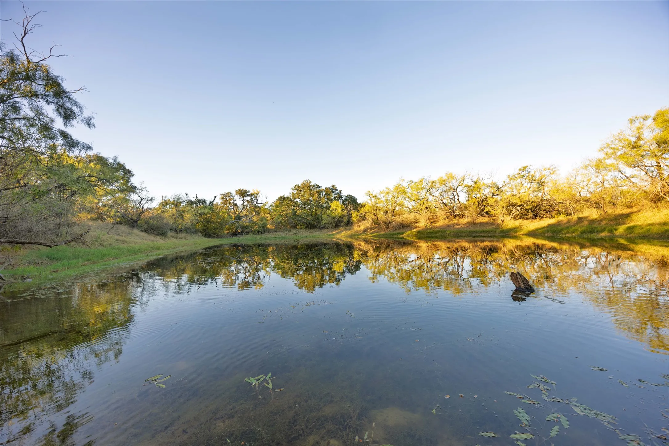 Ranch For Sale in Brown County , 8400 County Road 201, Brownwood, Texas 76801, 0, 0, Garage spaces, 0 Sqft, built in 0, Price $996,525, mls#21116338, Real Estate Agent in Brownwood, Homes For Sale in Brown county, Homes For Sale in Brownwood, Realtor in Brownwood Texas, Real Estate Brokerage Independent Realty Texas, Luminita Cordes Realtor
