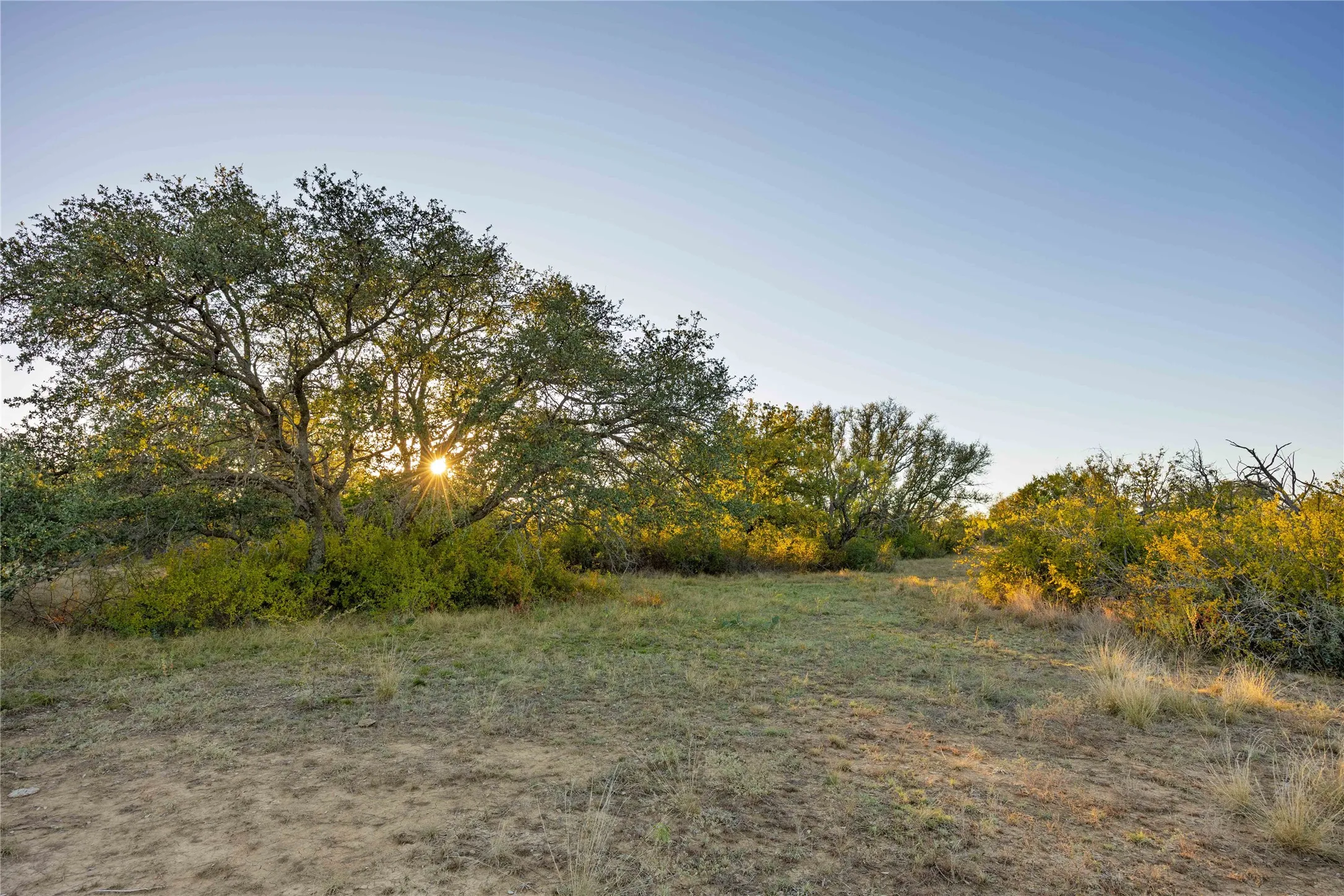 Ranch For Sale in Brown County , 8400 County Road 201, Brownwood, Texas 76801, 0, 0, Garage spaces, 0 Sqft, built in 0, Price $996,525, mls#21116338, Real Estate Agent in Brownwood, Homes For Sale in Brown county, Homes For Sale in Brownwood, Realtor in Brownwood Texas, Real Estate Brokerage Independent Realty Texas, Luminita Cordes Realtor
