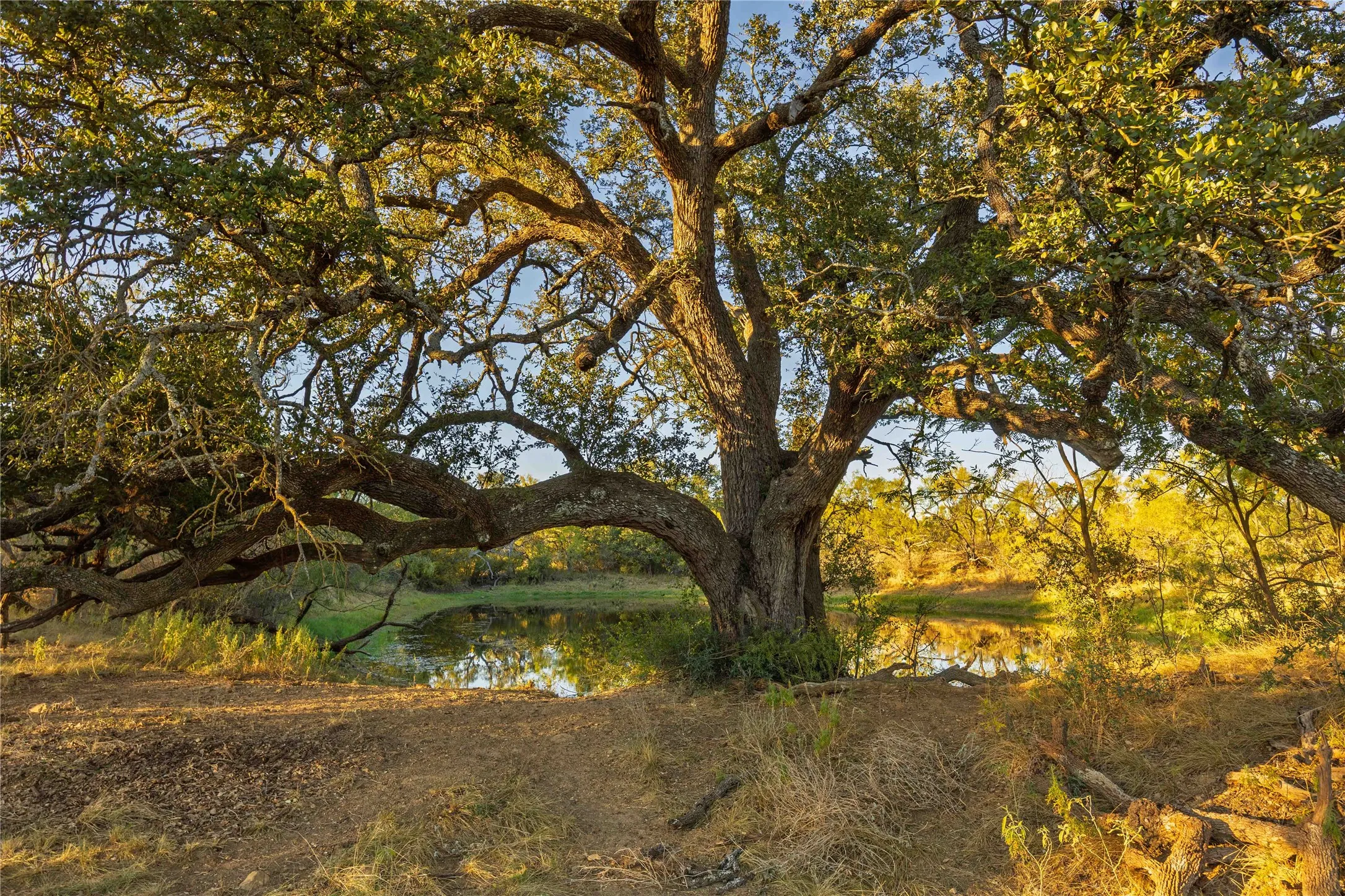Ranch For Sale in Brown County , 8400 County Road 201, Brownwood, Texas 76801, 0, 0, Garage spaces, 0 Sqft, built in 0, Price $996,525, mls#21116338, Real Estate Agent in Brownwood, Homes For Sale in Brown county, Homes For Sale in Brownwood, Realtor in Brownwood Texas, Real Estate Brokerage Independent Realty Texas, Luminita Cordes Realtor