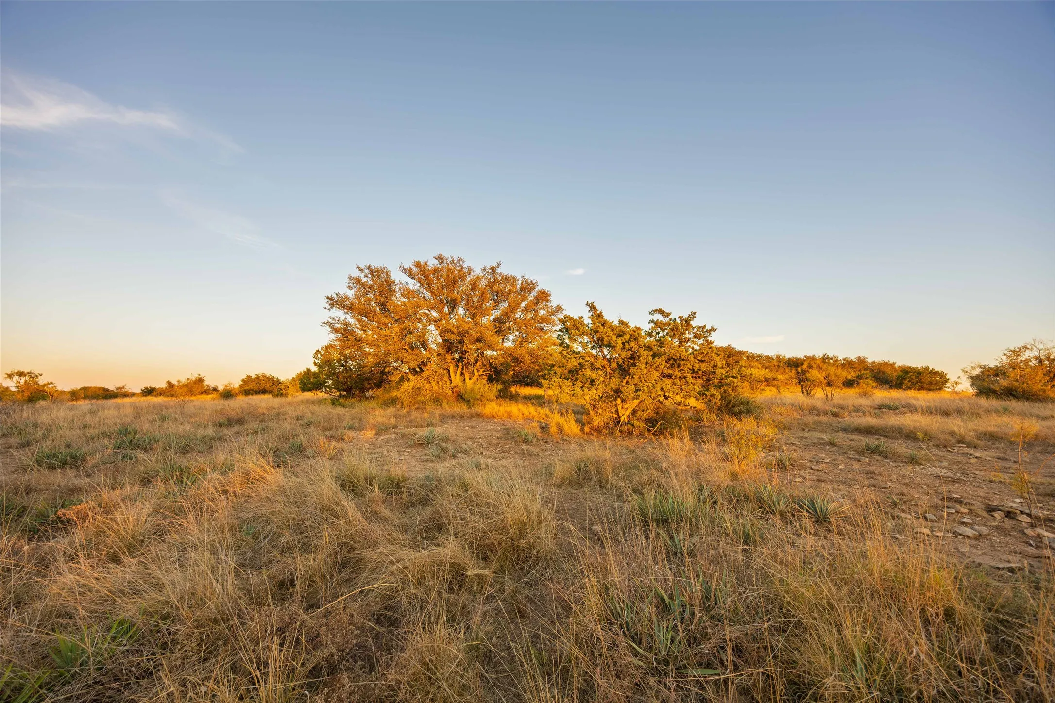 Ranch For Sale in Brown County , 8400 County Road 201, Brownwood, Texas 76801, 0, 0, Garage spaces, 0 Sqft, built in 0, Price $996,525, mls#21116338, Real Estate Agent in Brownwood, Homes For Sale in Brown county, Homes For Sale in Brownwood, Realtor in Brownwood Texas, Real Estate Brokerage Independent Realty Texas, Luminita Cordes Realtor