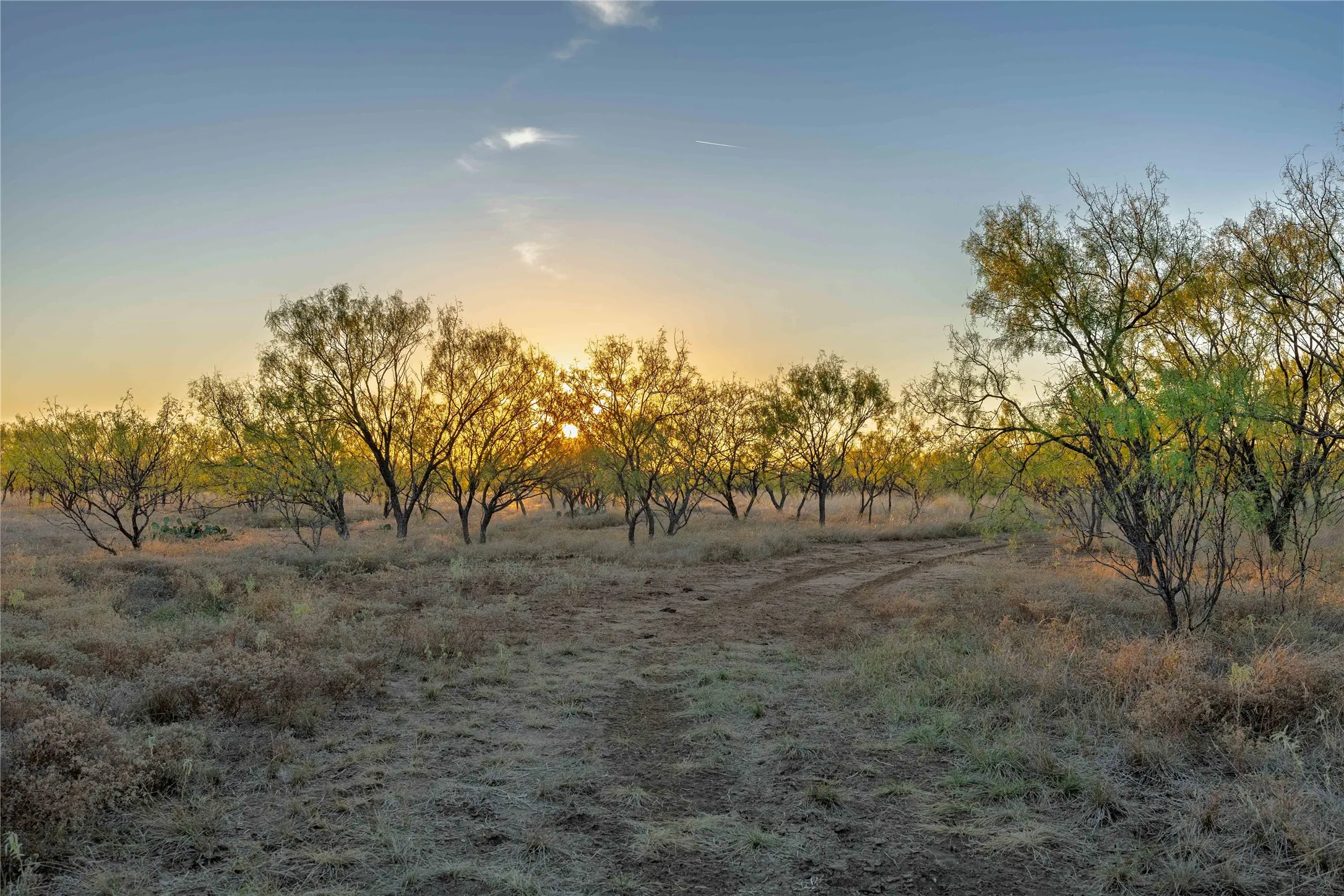 Ranch For Sale in Brown County , 8400 County Road 201, Brownwood, Texas 76801, 0, 0, Garage spaces, 0 Sqft, built in 0, Price $996,525, mls#21116338, Real Estate Agent in Brownwood, Homes For Sale in Brown county, Homes For Sale in Brownwood, Realtor in Brownwood Texas, Real Estate Brokerage Independent Realty Texas, Luminita Cordes Realtor
