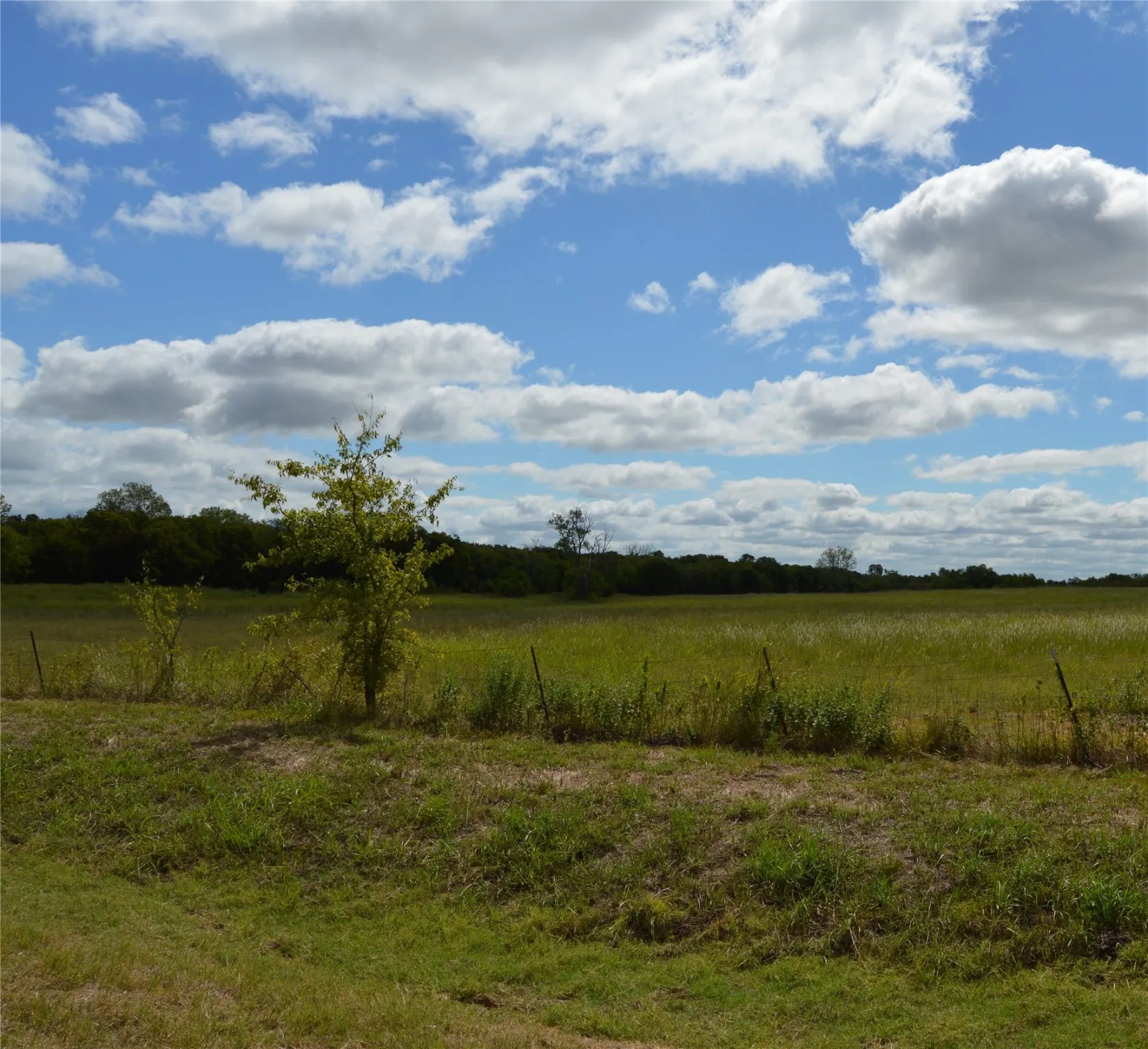 Unimproved Land For Sale in Delta County , TBD CR 2068, Klondike, Texas 75448, 0, 0, Garage spaces, 0 Sqft, built in 2008, mls#21116393, Real Estate Agent in Klondike, Homes For Sale in Delta county, Homes For Sale in Klondike, Realtor in Klondike Texas, Real Estate Brokerage Independent Realty Texas, Luminita Cordes Realtor