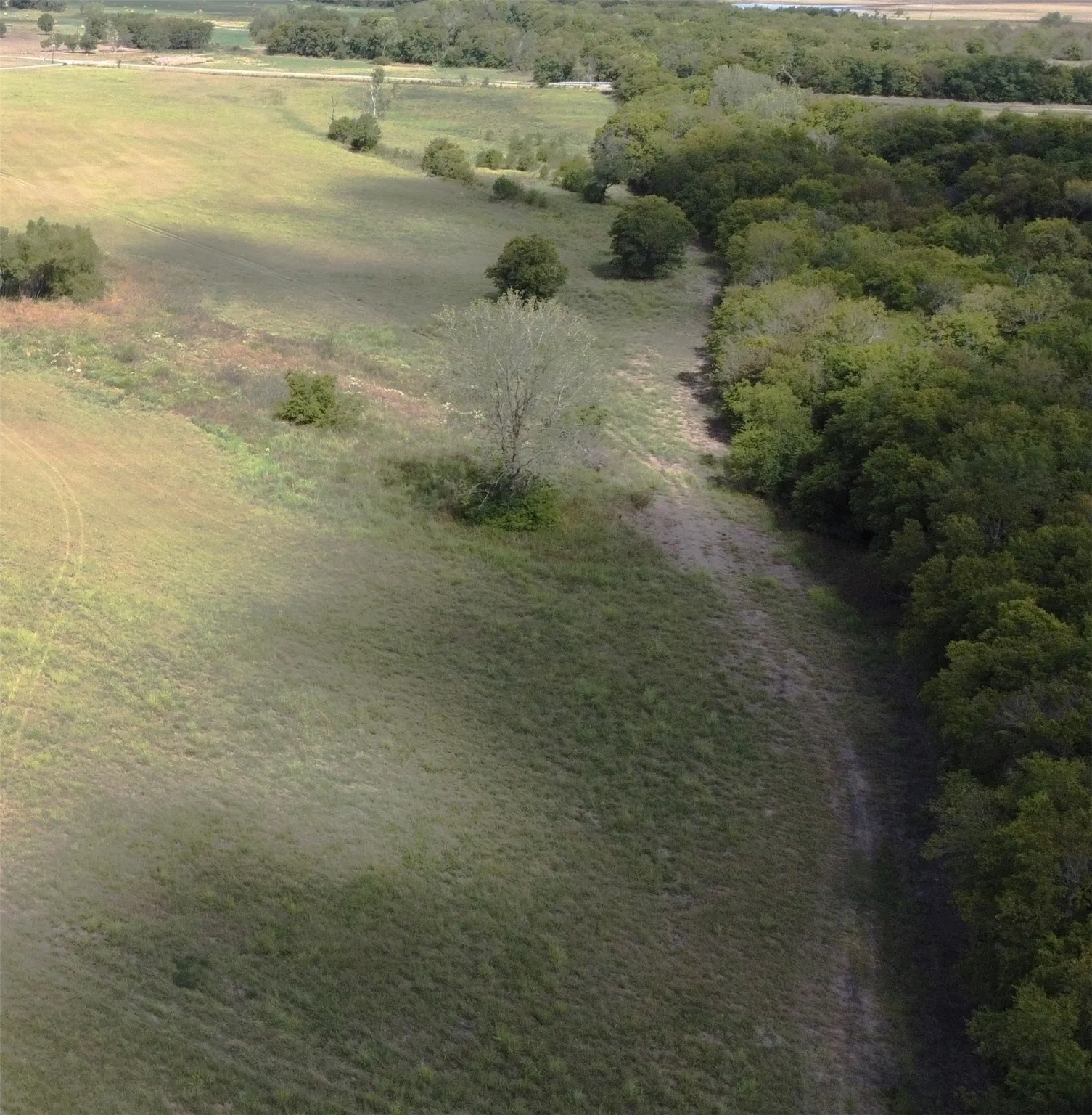 Unimproved Land For Sale in Delta County , TBD CR 2068, Klondike, Texas 75448, 0, 0, Garage spaces, 0 Sqft, built in 2008, mls#21116393, Real Estate Agent in Klondike, Homes For Sale in Delta county, Homes For Sale in Klondike, Realtor in Klondike Texas, Real Estate Brokerage Independent Realty Texas, Luminita Cordes Realtor