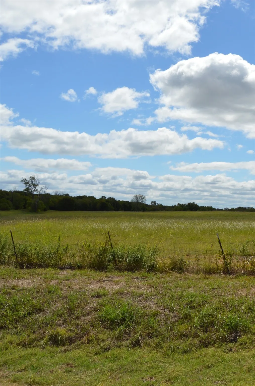 Unimproved Land For Sale in Delta County , TBD CR 2068, Klondike, Texas 75448, 0, 0, Garage spaces, 0 Sqft, built in 2008, mls#21116393, Real Estate Agent in Klondike, Homes For Sale in Delta county, Homes For Sale in Klondike, Realtor in Klondike Texas, Real Estate Brokerage Independent Realty Texas, Luminita Cordes Realtor