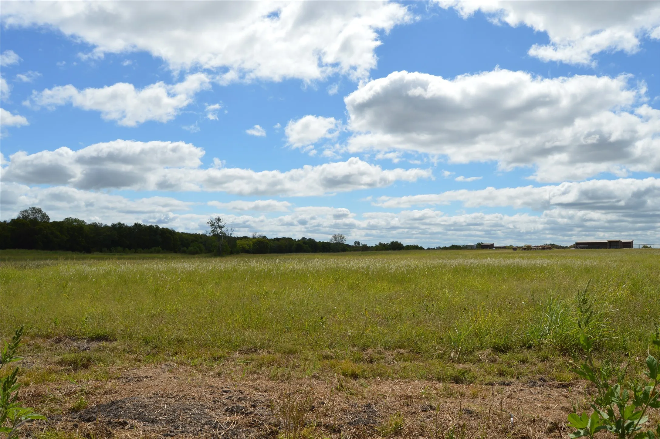 Unimproved Land For Sale in Delta County , TBD CR 2068, Klondike, Texas 75448, 0, 0, Garage spaces, 0 Sqft, built in 2008, mls#21116393, Real Estate Agent in Klondike, Homes For Sale in Delta county, Homes For Sale in Klondike, Realtor in Klondike Texas, Real Estate Brokerage Independent Realty Texas, Luminita Cordes Realtor