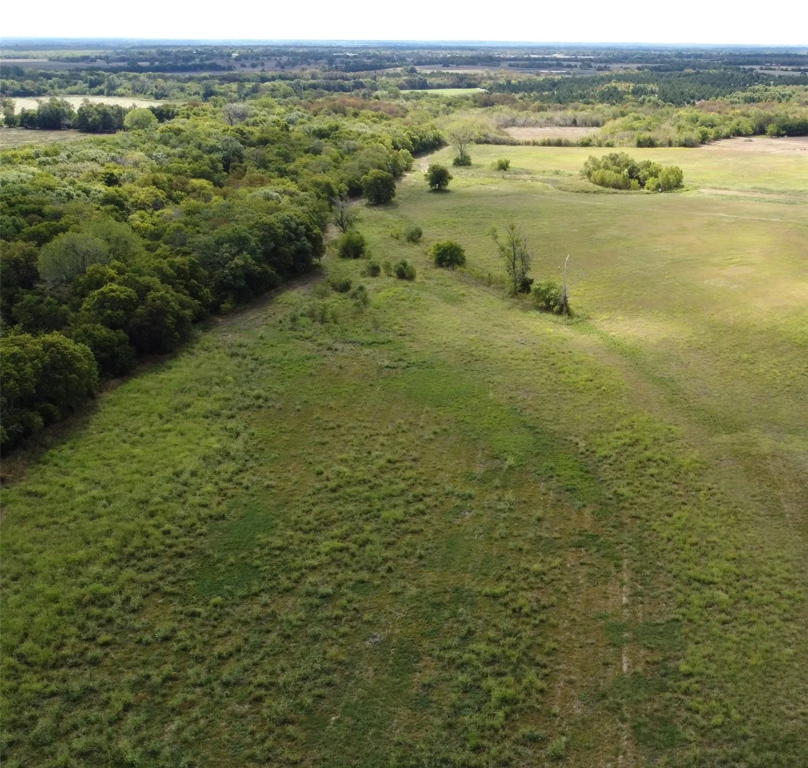 Unimproved Land For Sale in Delta County , TBD CR 2068, Klondike, Texas 75448, 0, 0, Garage spaces, 0 Sqft, built in 2008, mls#21116393, Real Estate Agent in Klondike, Homes For Sale in Delta county, Homes For Sale in Klondike, Realtor in Klondike Texas, Real Estate Brokerage Independent Realty Texas, Luminita Cordes Realtor