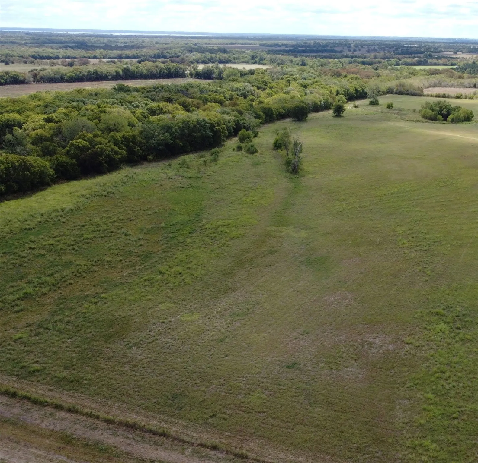 Unimproved Land For Sale in Delta County , TBD CR 2068, Klondike, Texas 75448, 0, 0, Garage spaces, 0 Sqft, built in 2008, mls#21116393, Real Estate Agent in Klondike, Homes For Sale in Delta county, Homes For Sale in Klondike, Realtor in Klondike Texas, Real Estate Brokerage Independent Realty Texas, Luminita Cordes Realtor