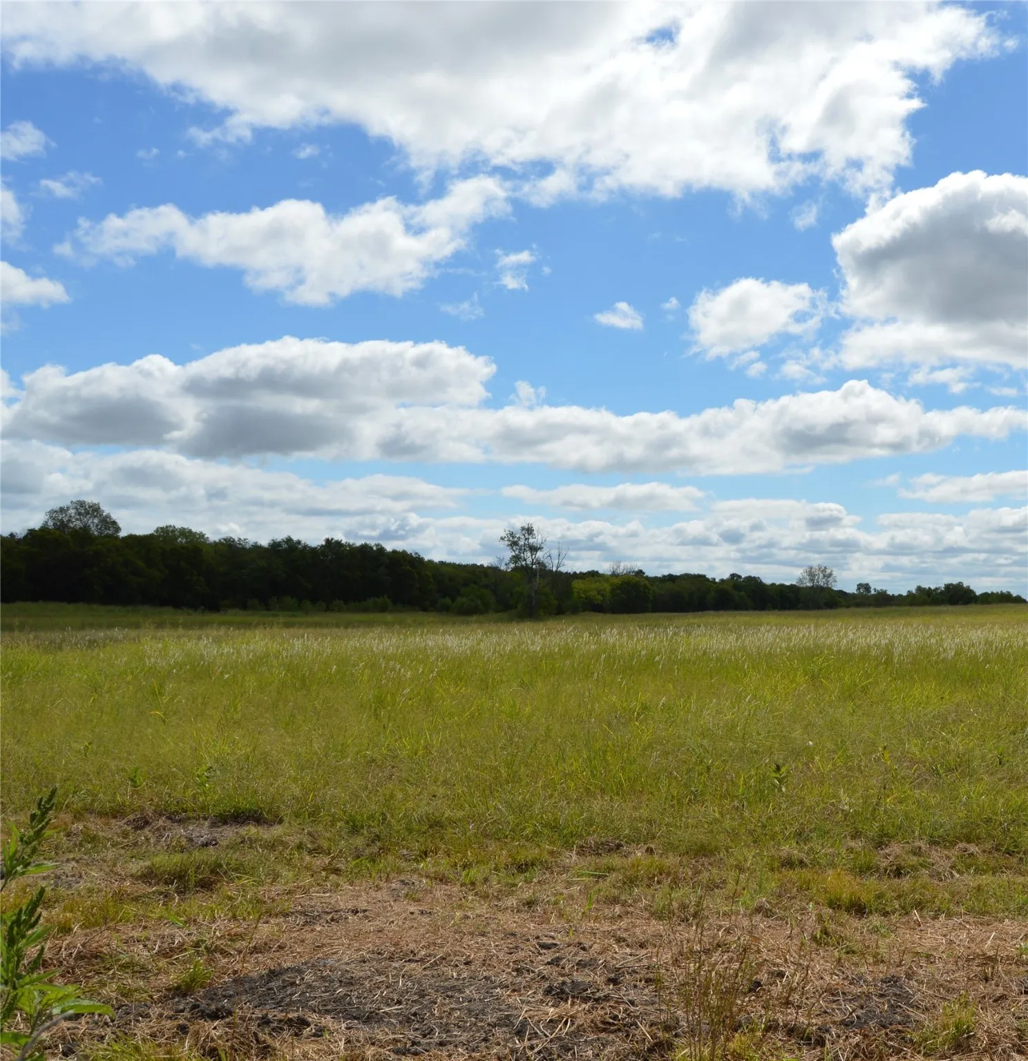 Unimproved Land For Sale in Delta County , TBD CR 2068, Klondike, Texas 75448, 0, 0, Garage spaces, 0 Sqft, built in 2008, mls#21116393, Real Estate Agent in Klondike, Homes For Sale in Delta county, Homes For Sale in Klondike, Realtor in Klondike Texas, Real Estate Brokerage Independent Realty Texas, Luminita Cordes Realtor