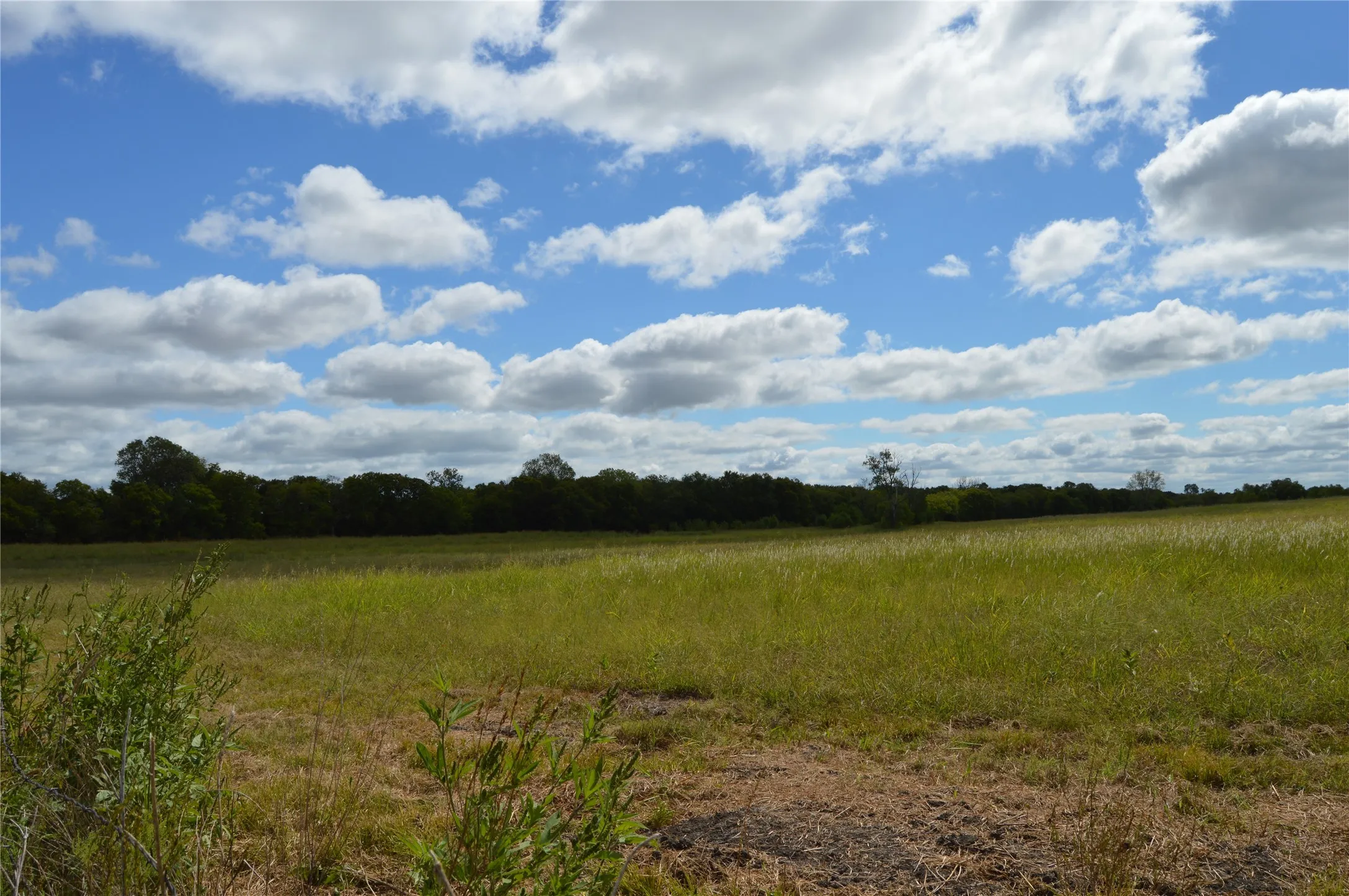 Unimproved Land For Sale in Delta County , TBD CR 2068, Klondike, Texas 75448, 0, 0, Garage spaces, 0 Sqft, built in 2008, mls#21116393, Real Estate Agent in Klondike, Homes For Sale in Delta county, Homes For Sale in Klondike, Realtor in Klondike Texas, Real Estate Brokerage Independent Realty Texas, Luminita Cordes Realtor